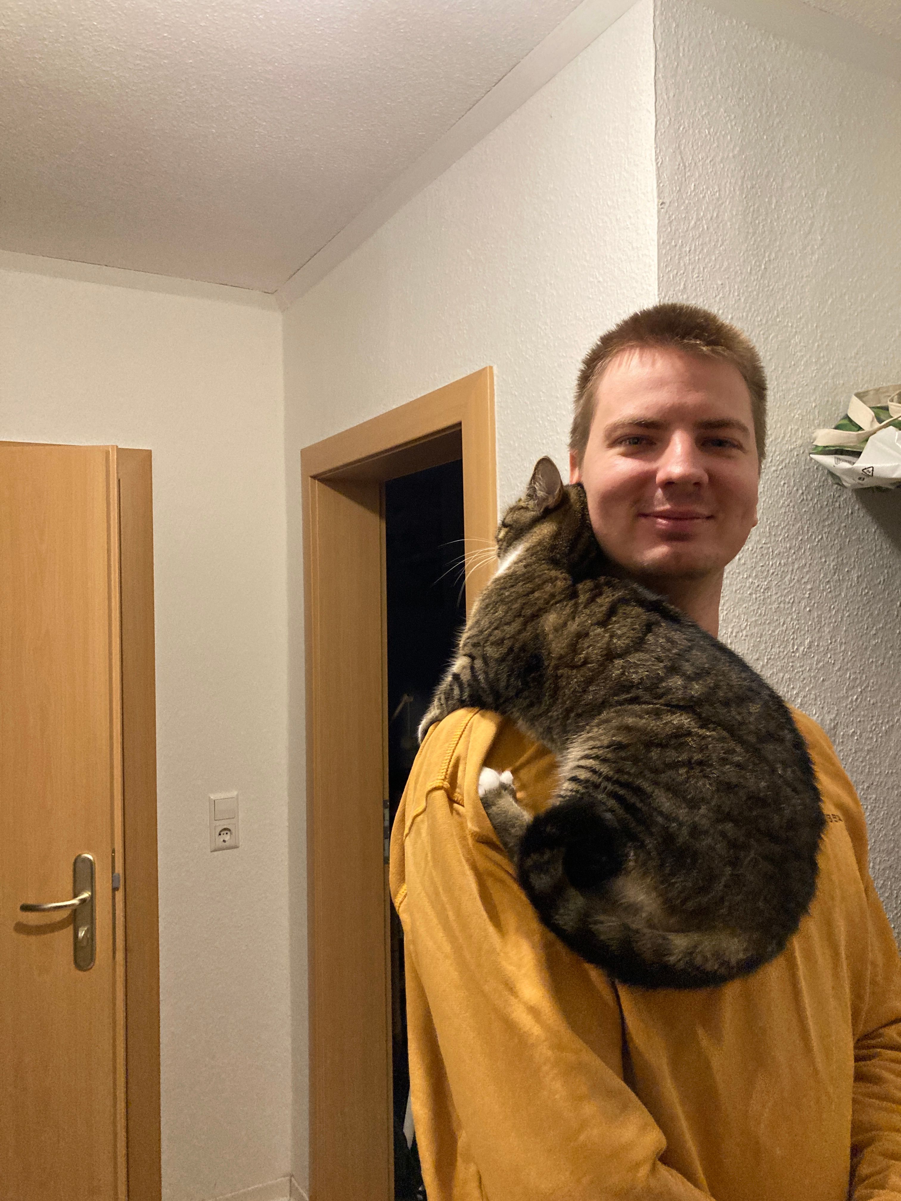 image-6