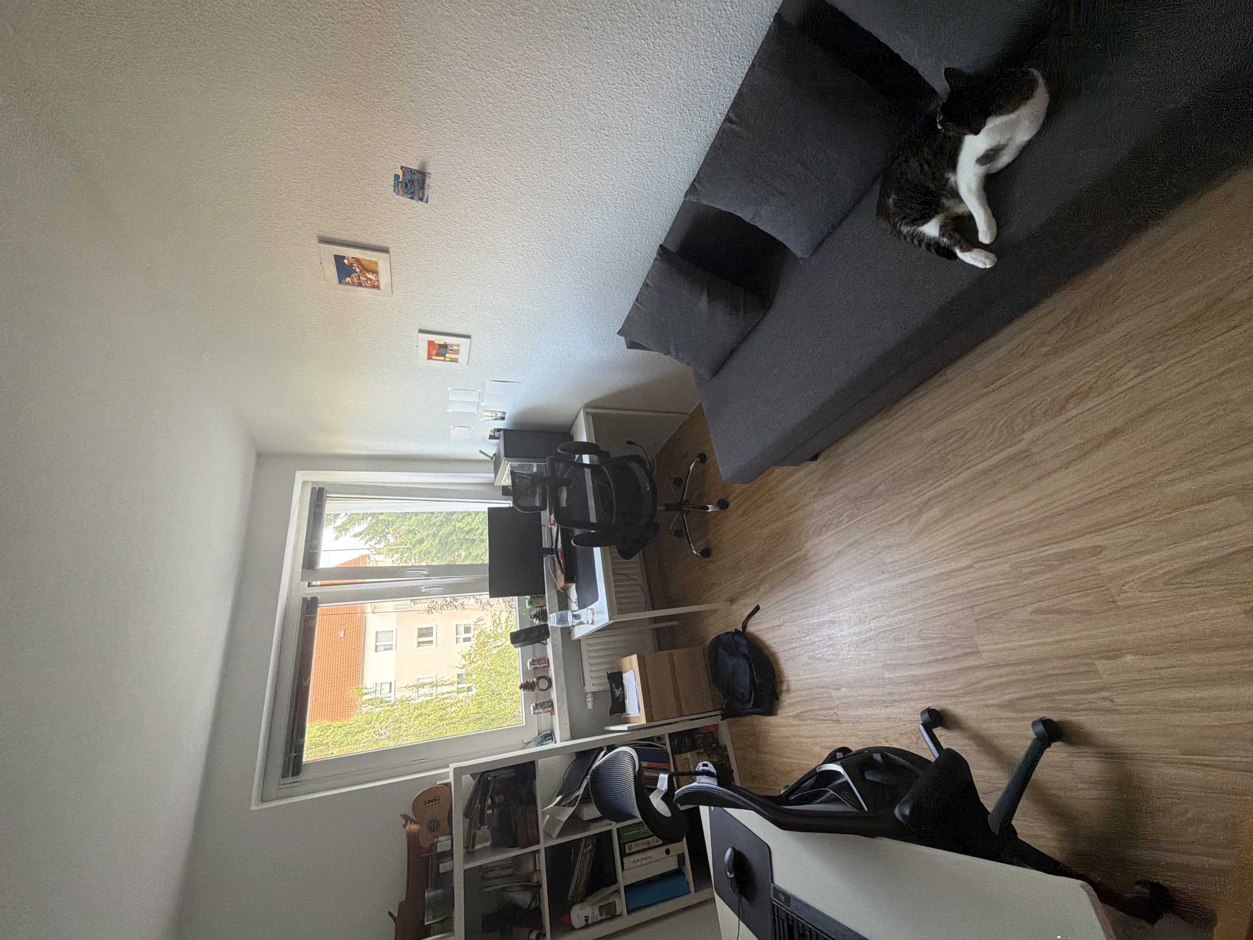 image-11