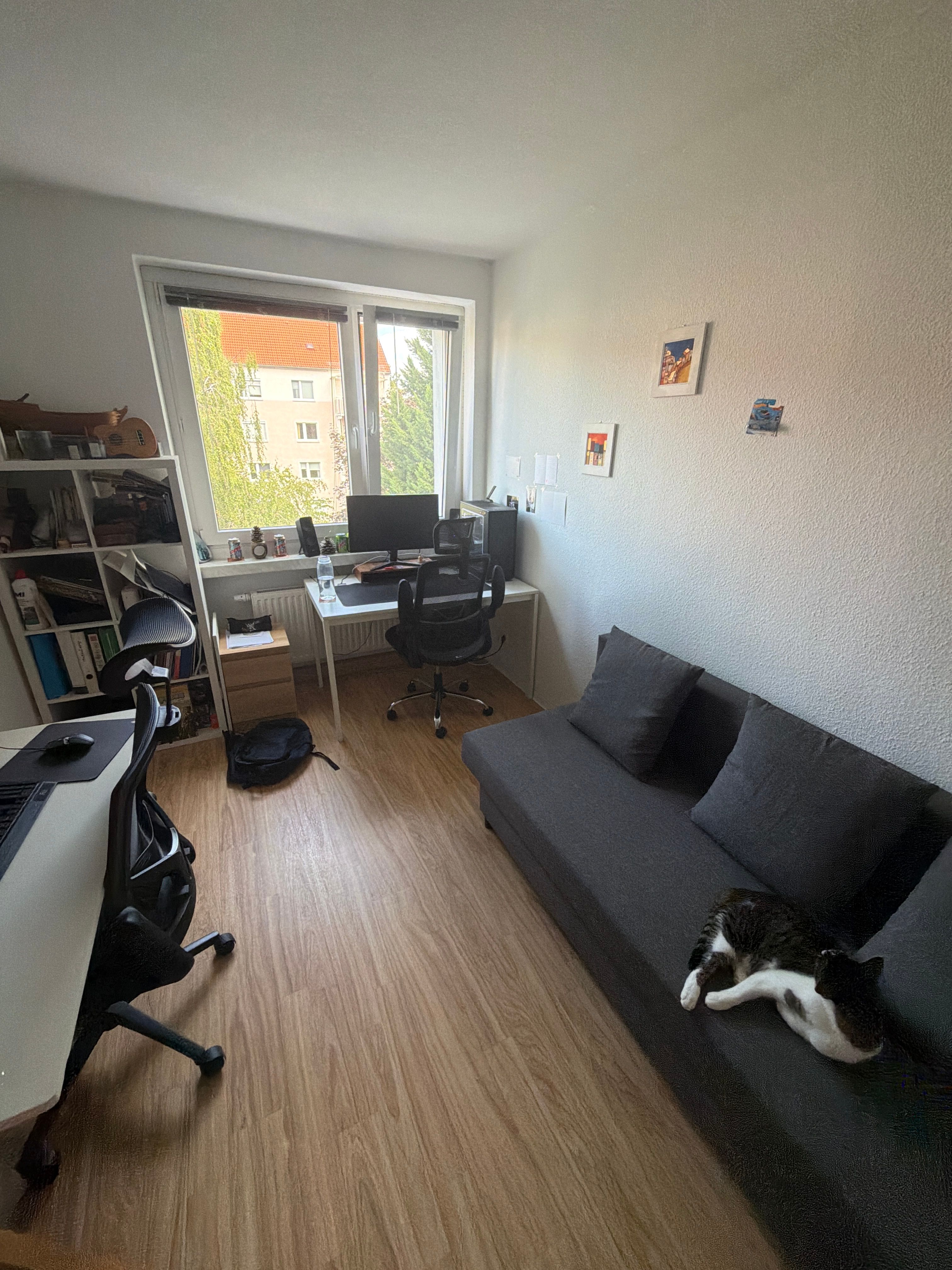 image-11