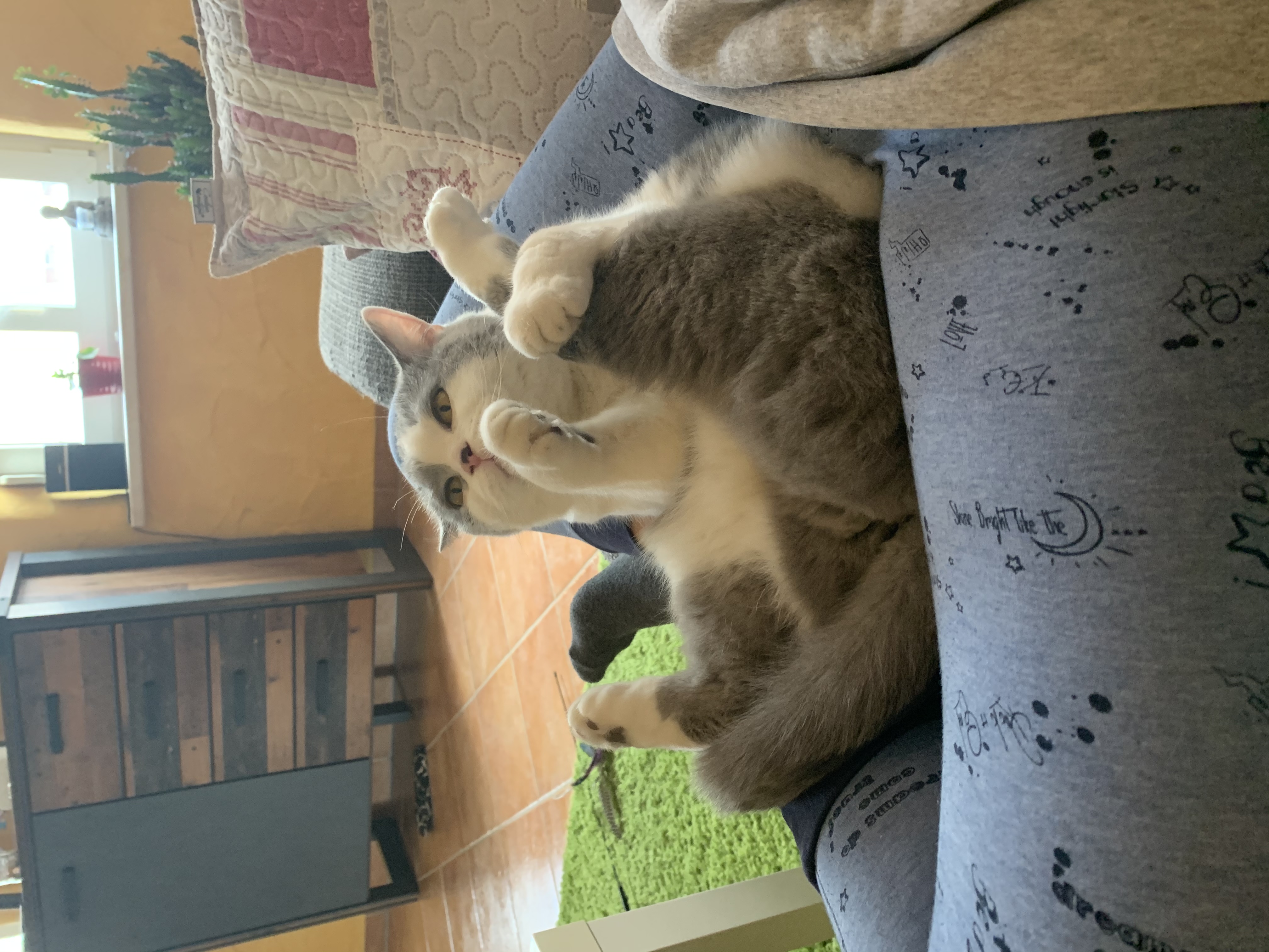 image-8