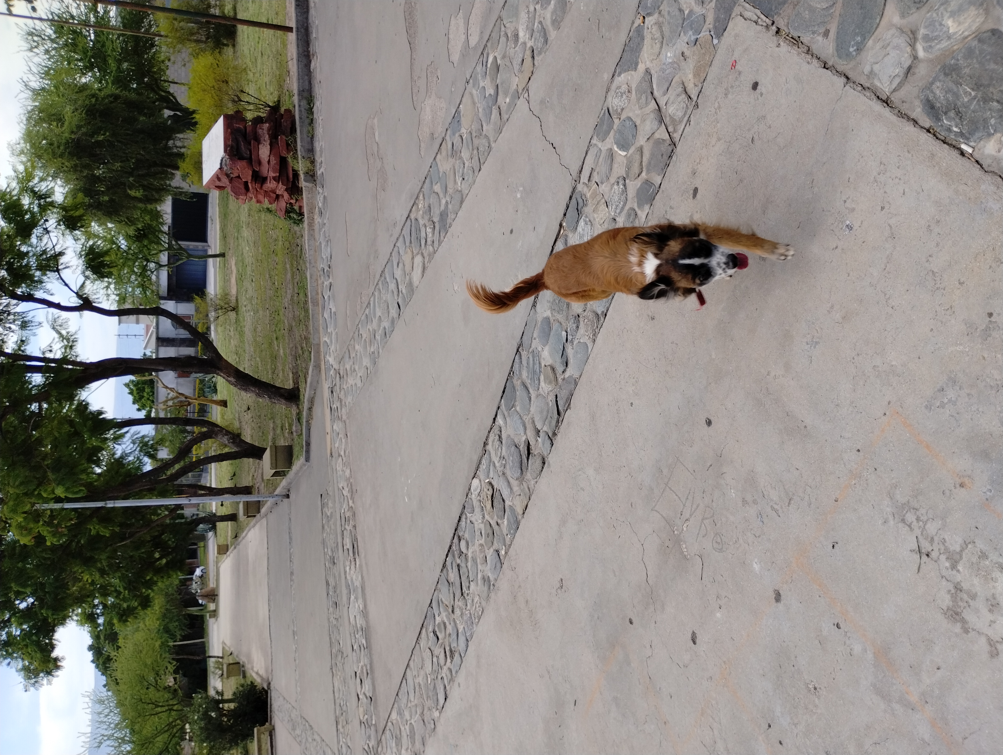 image-7