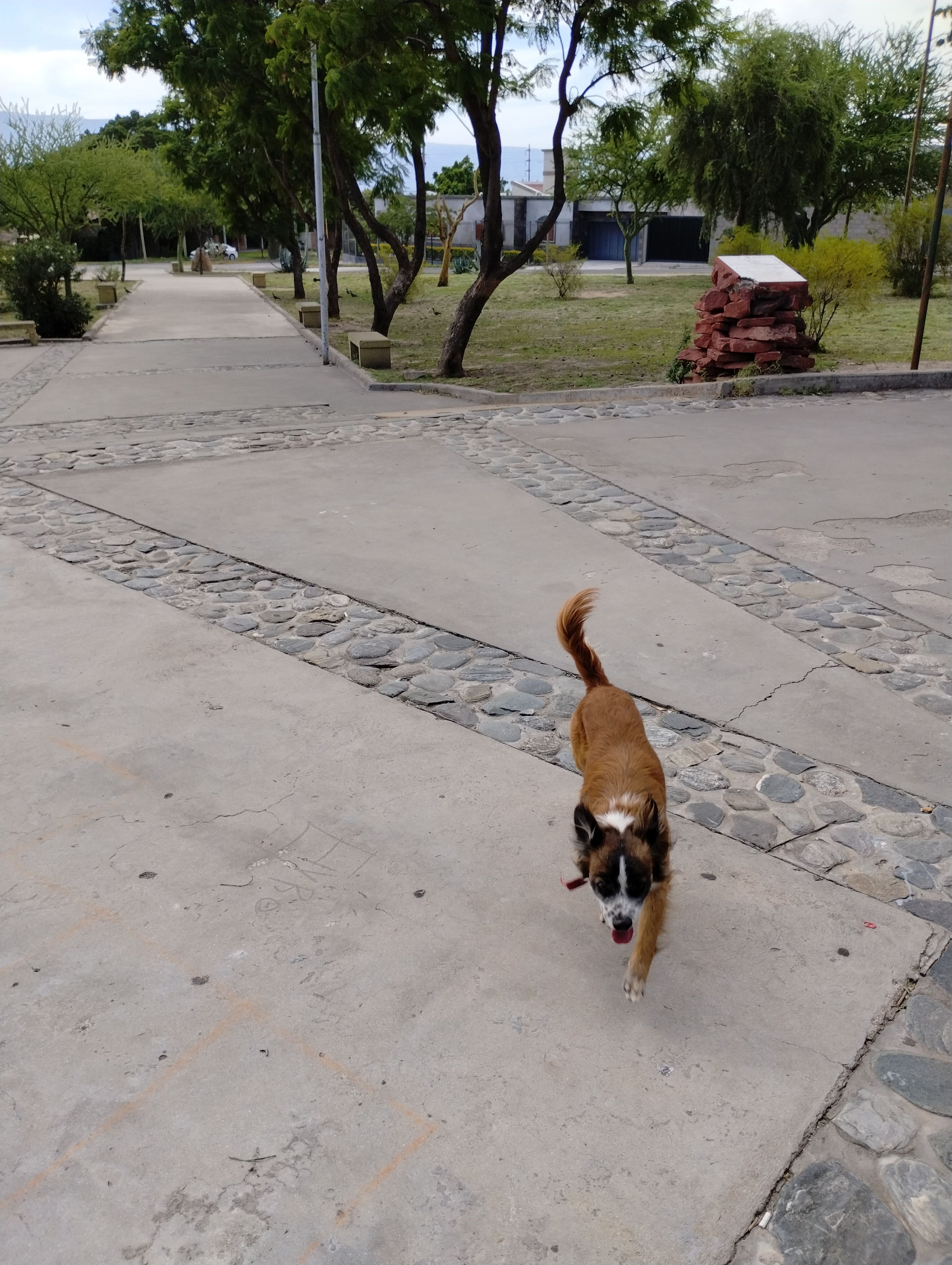 image-7