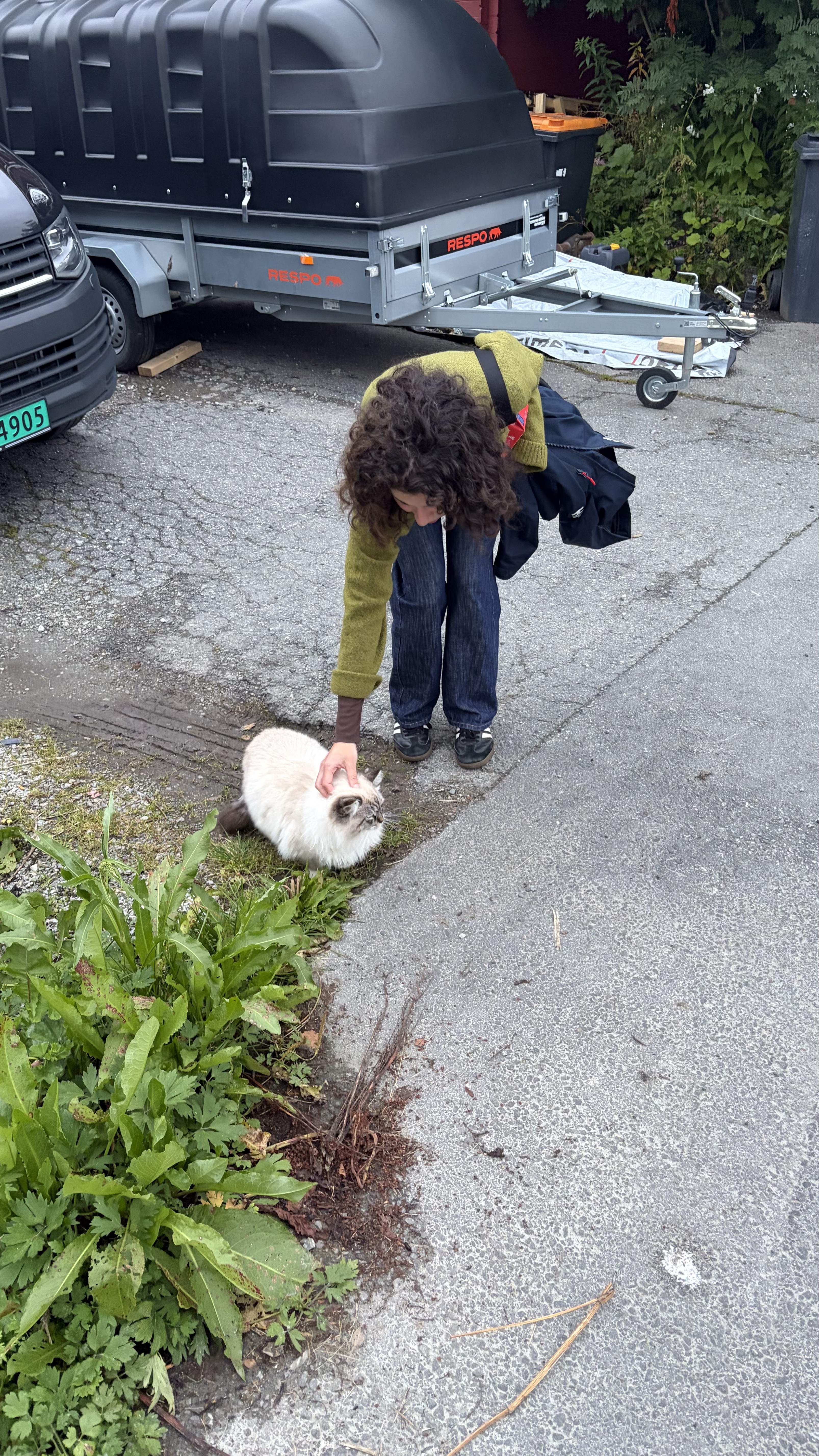 image-5