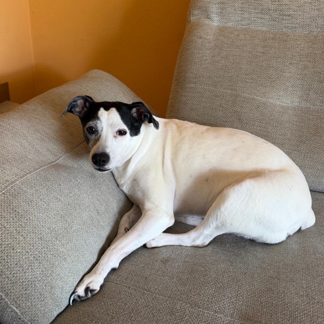 Frida