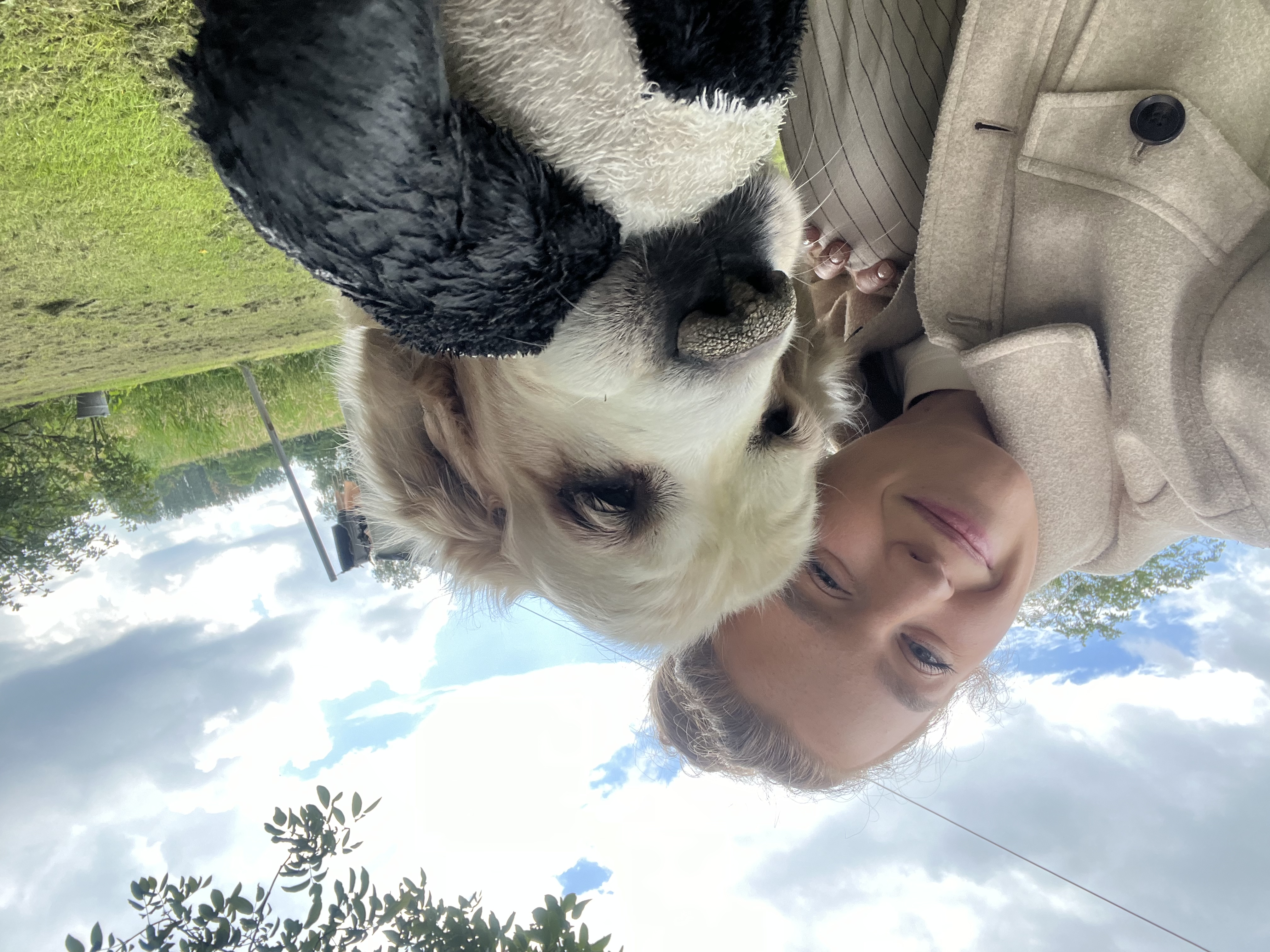 image-2