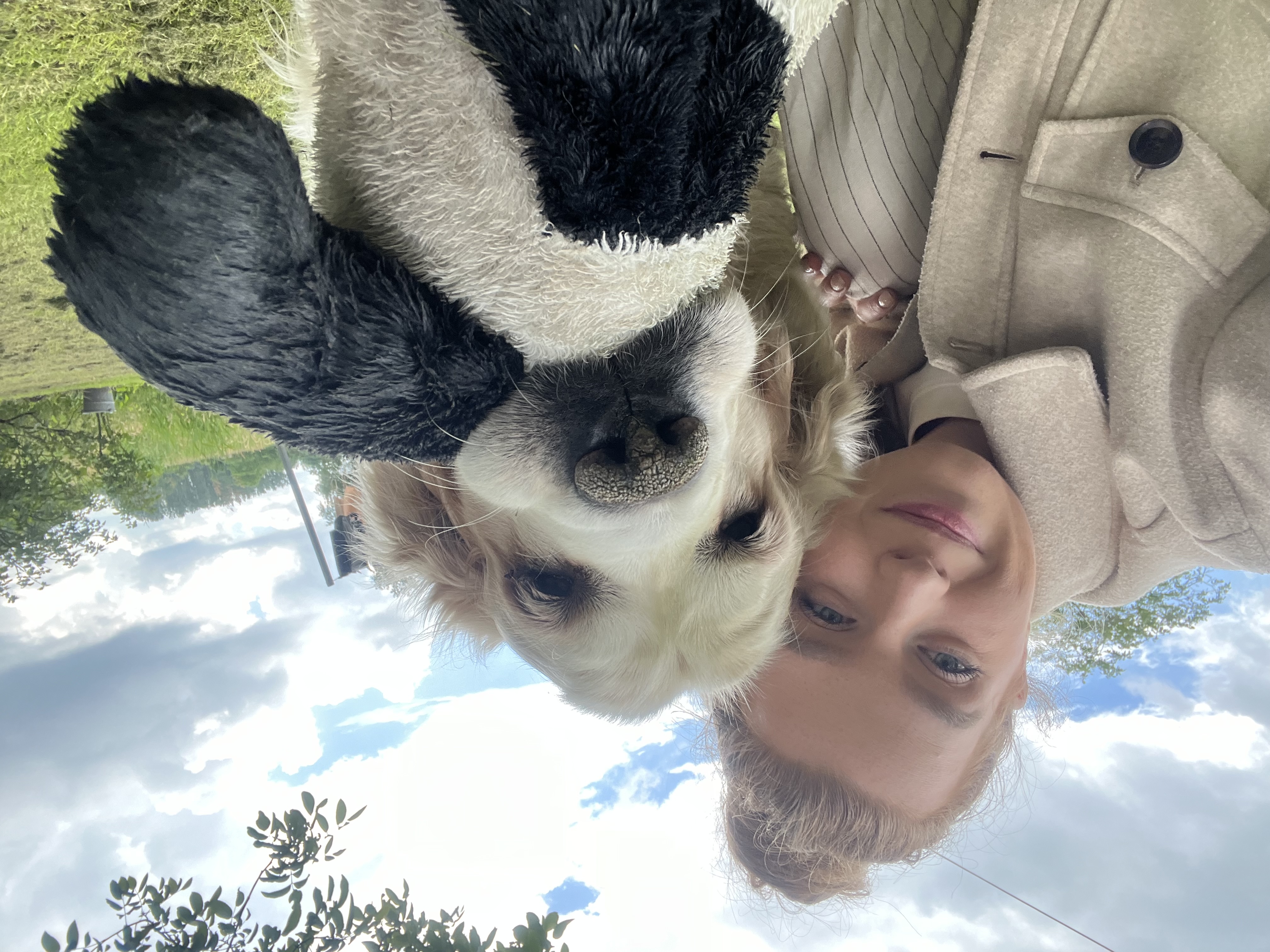 image-0