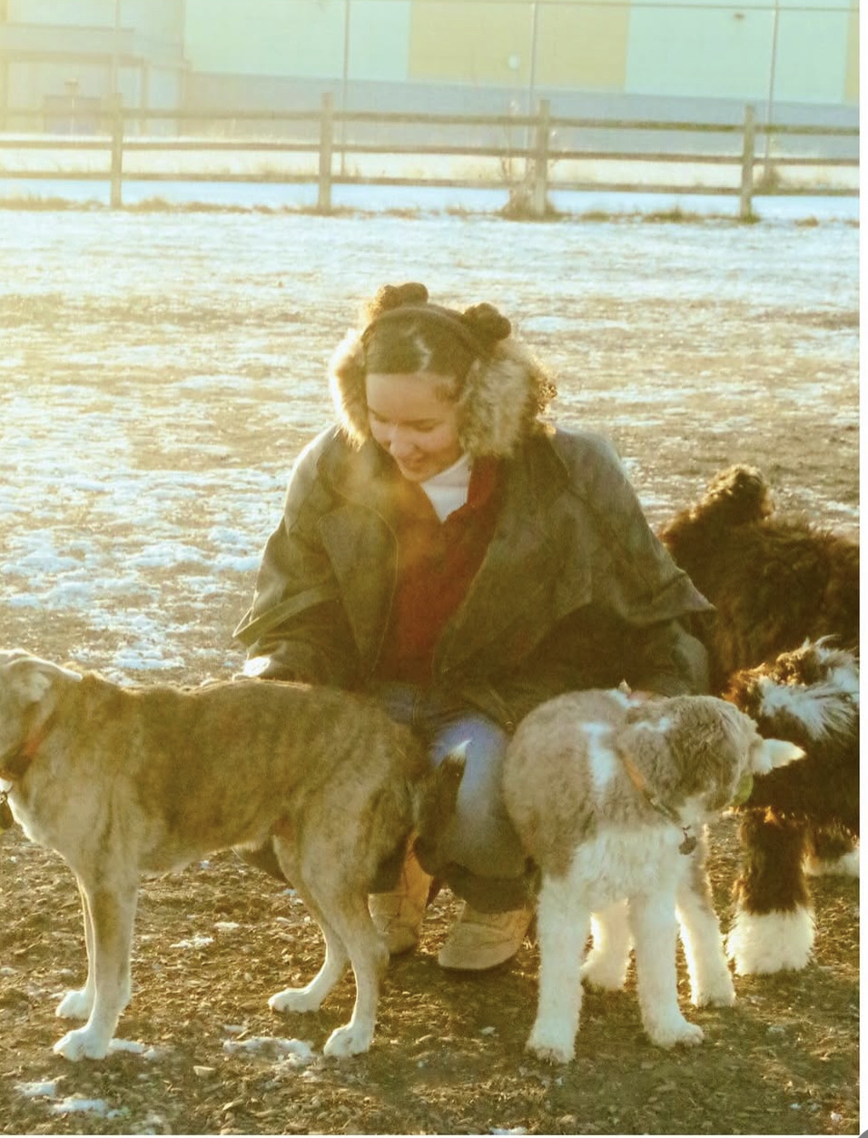 image-7