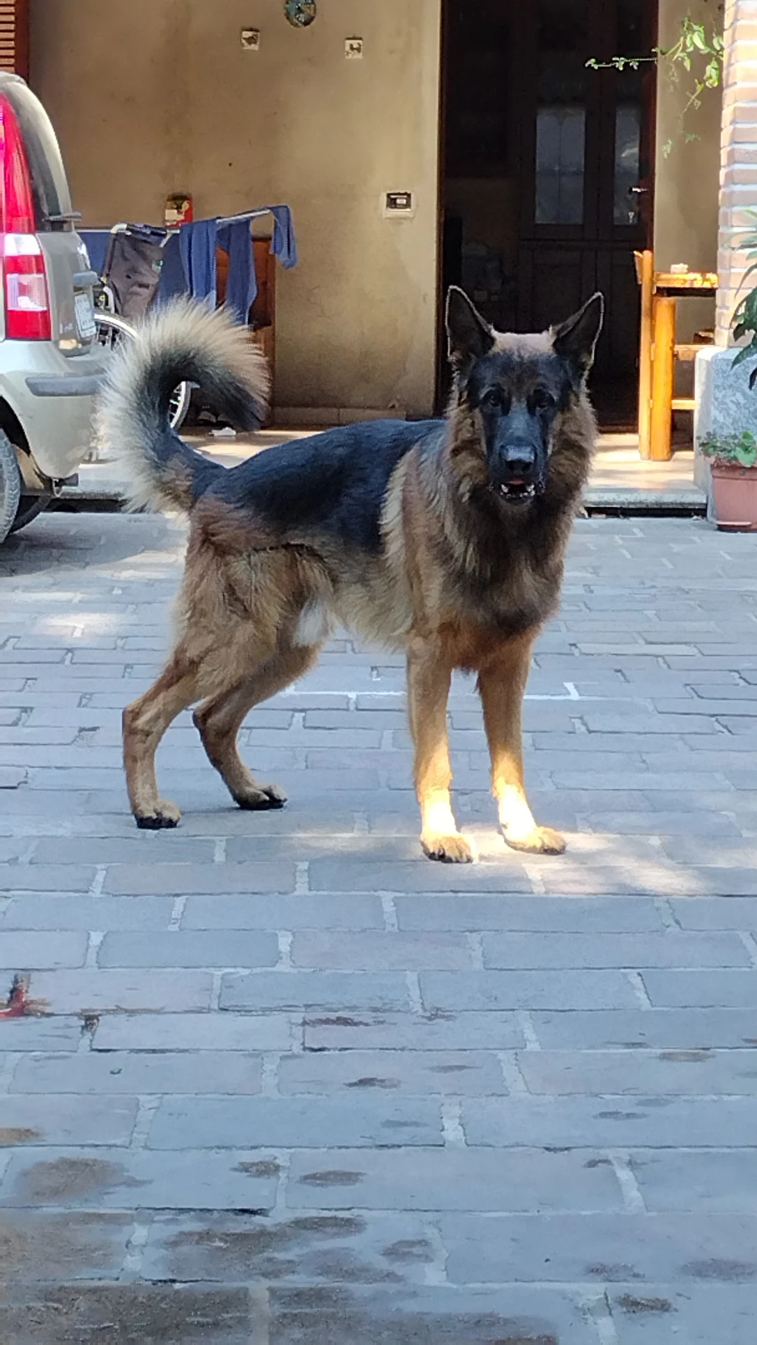 image-3