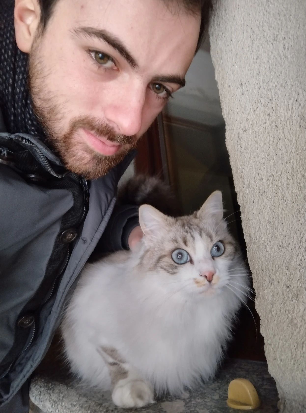 image-6