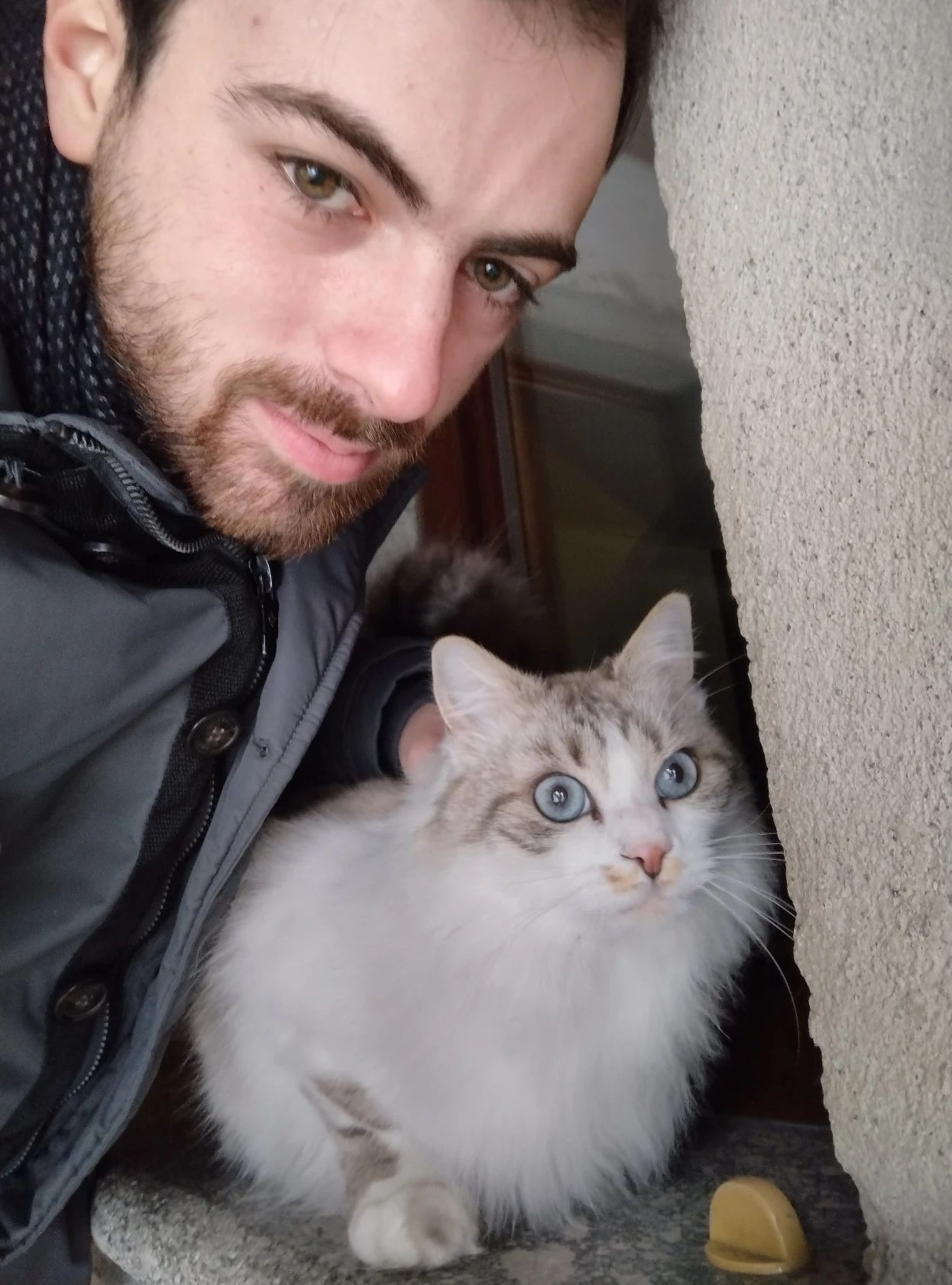 image-6