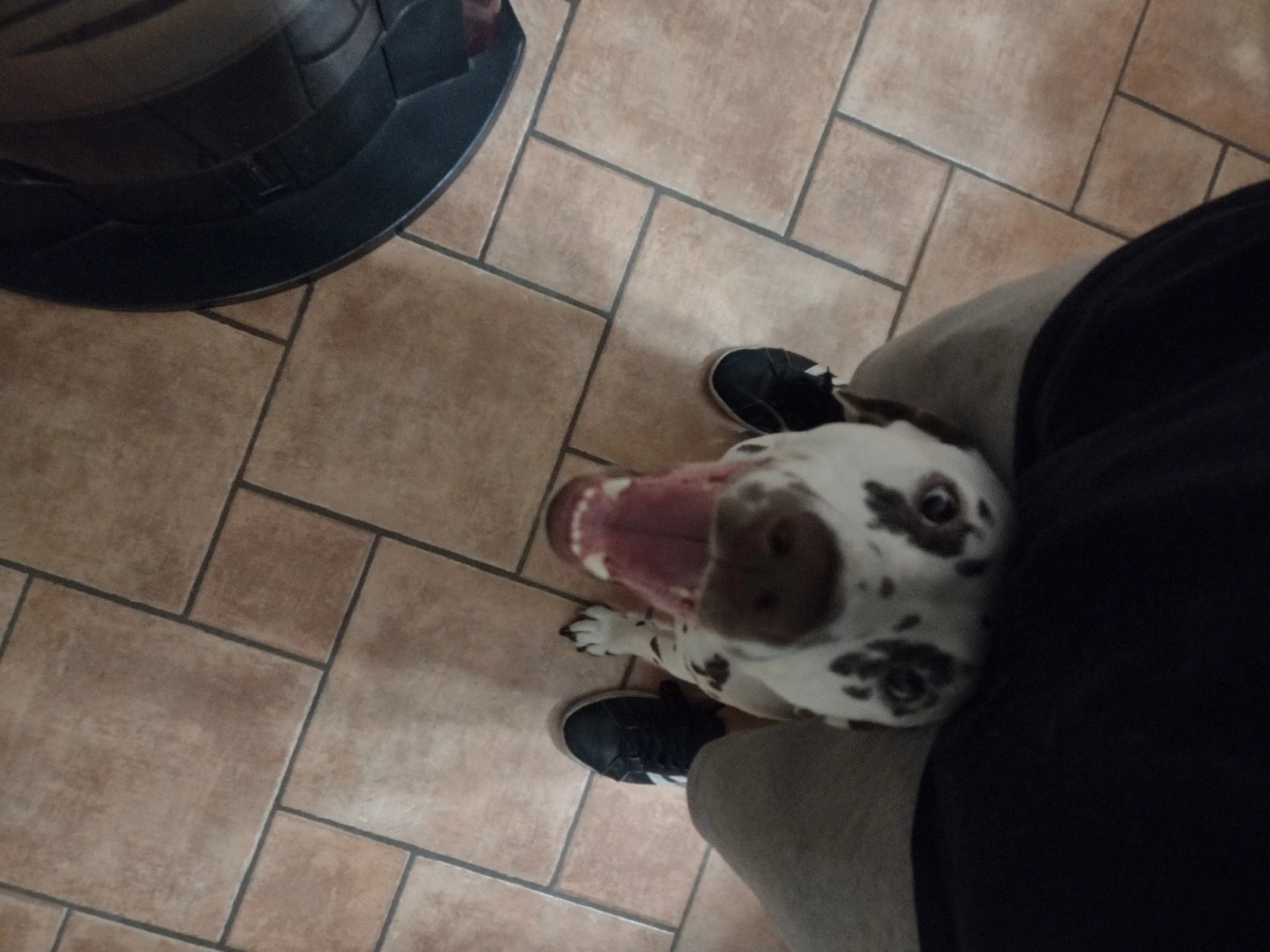 image-7
