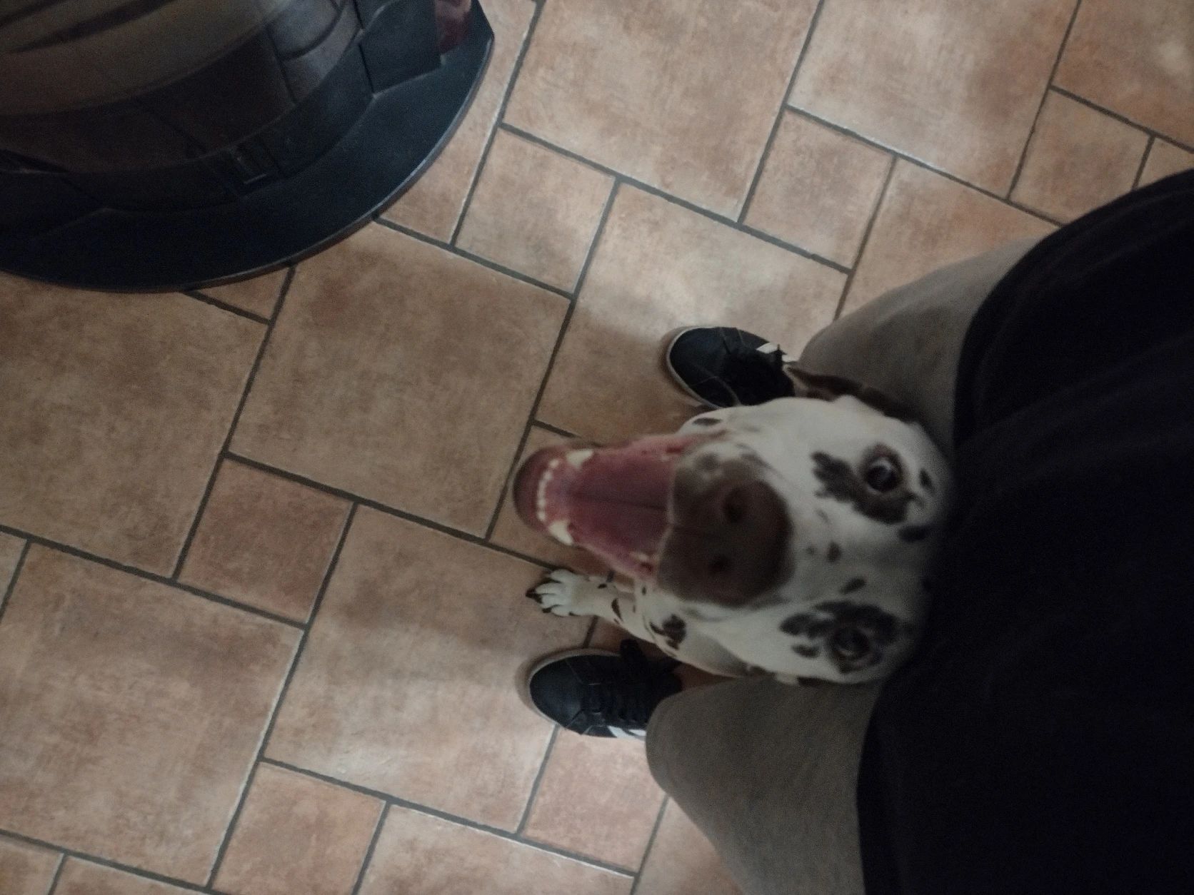 image-7