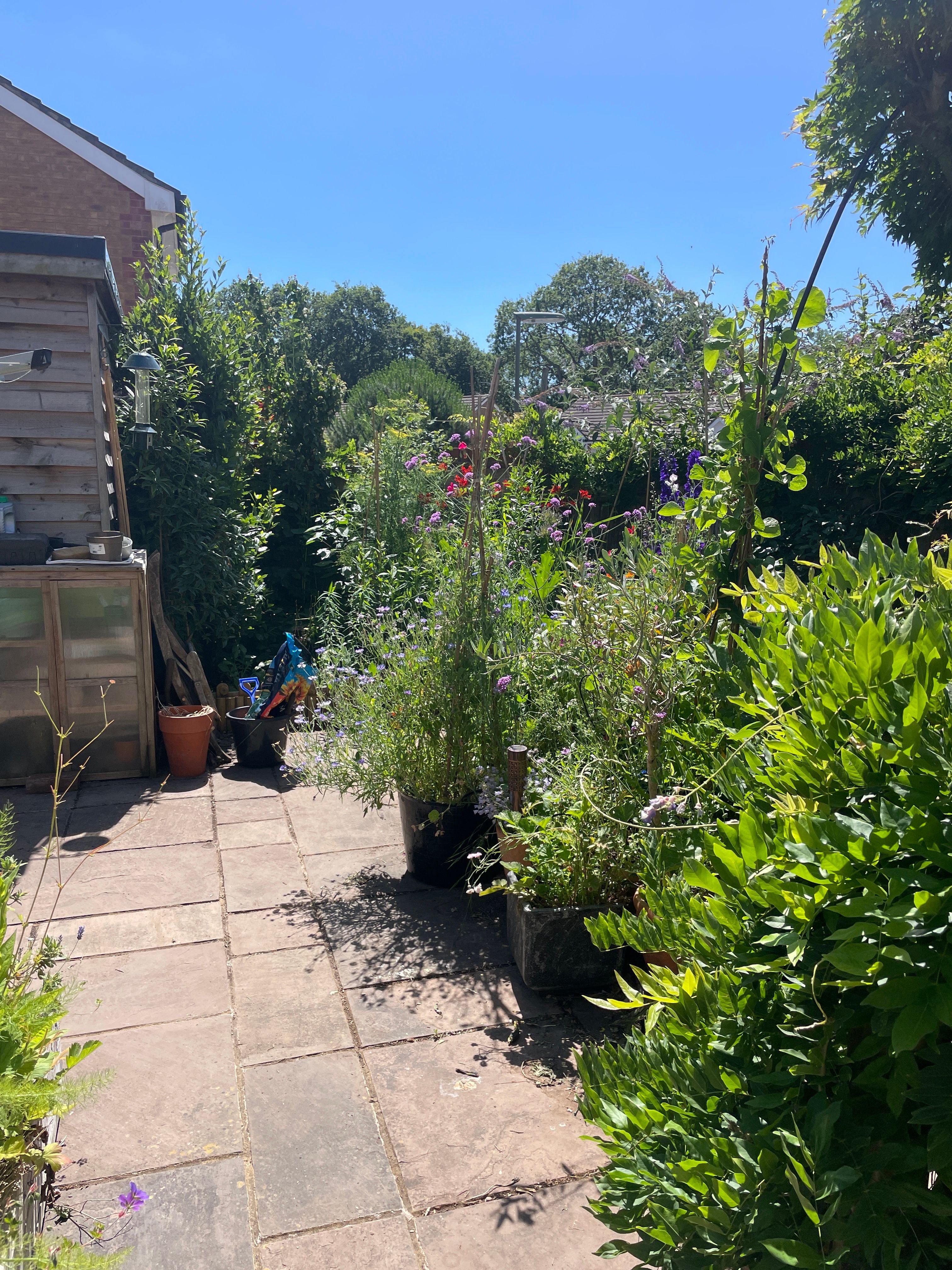 image-13