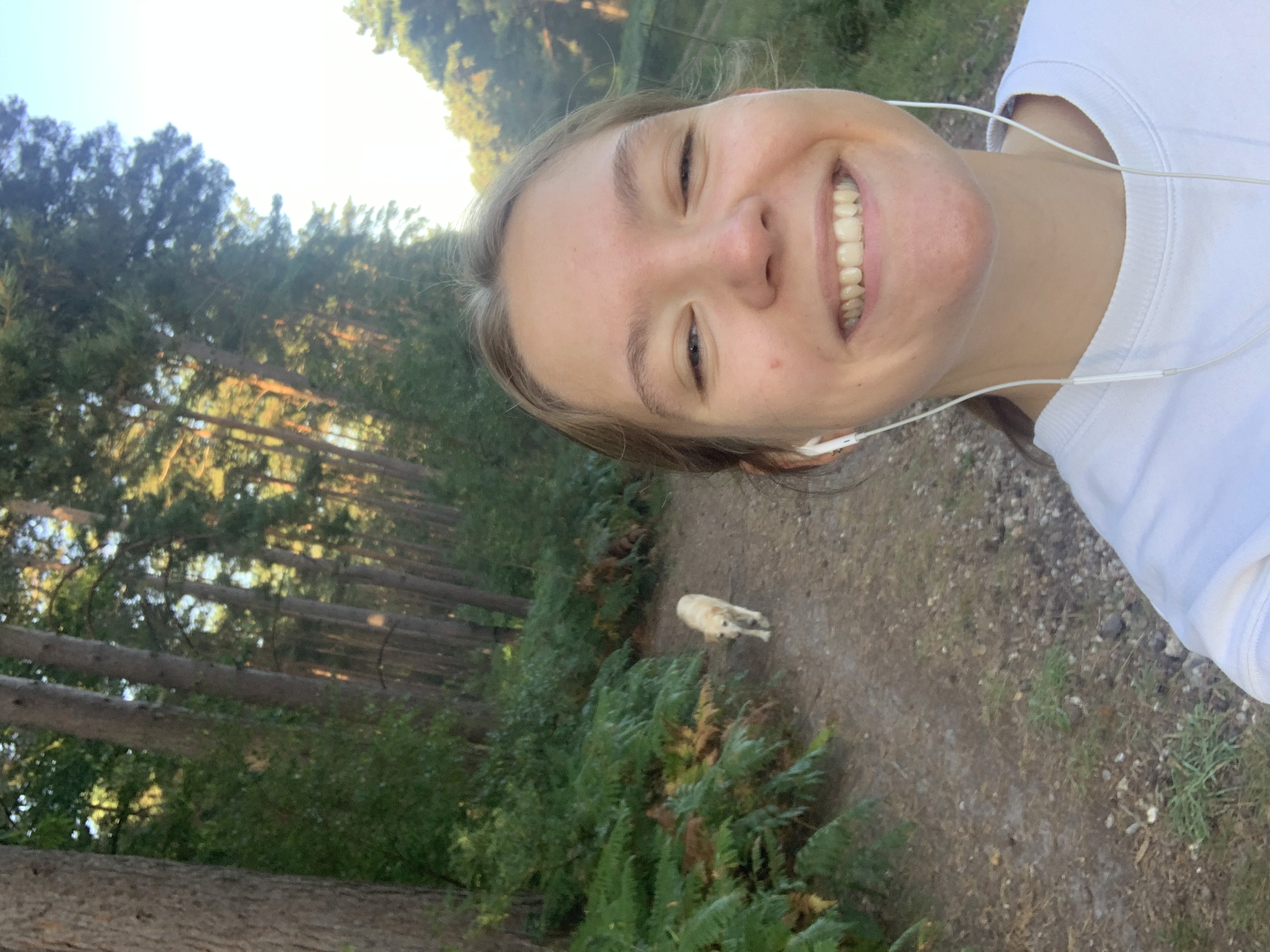 image-6