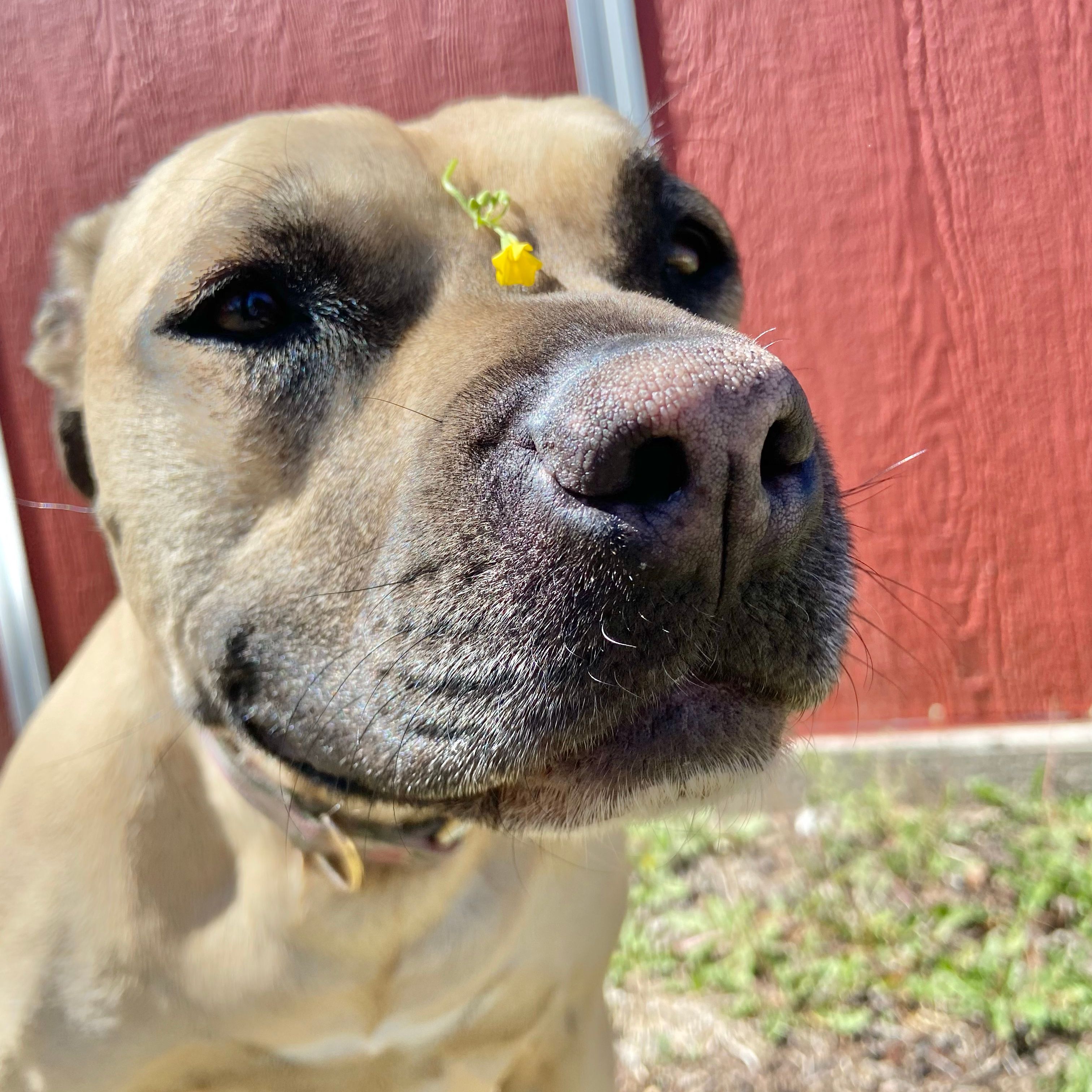 Mia