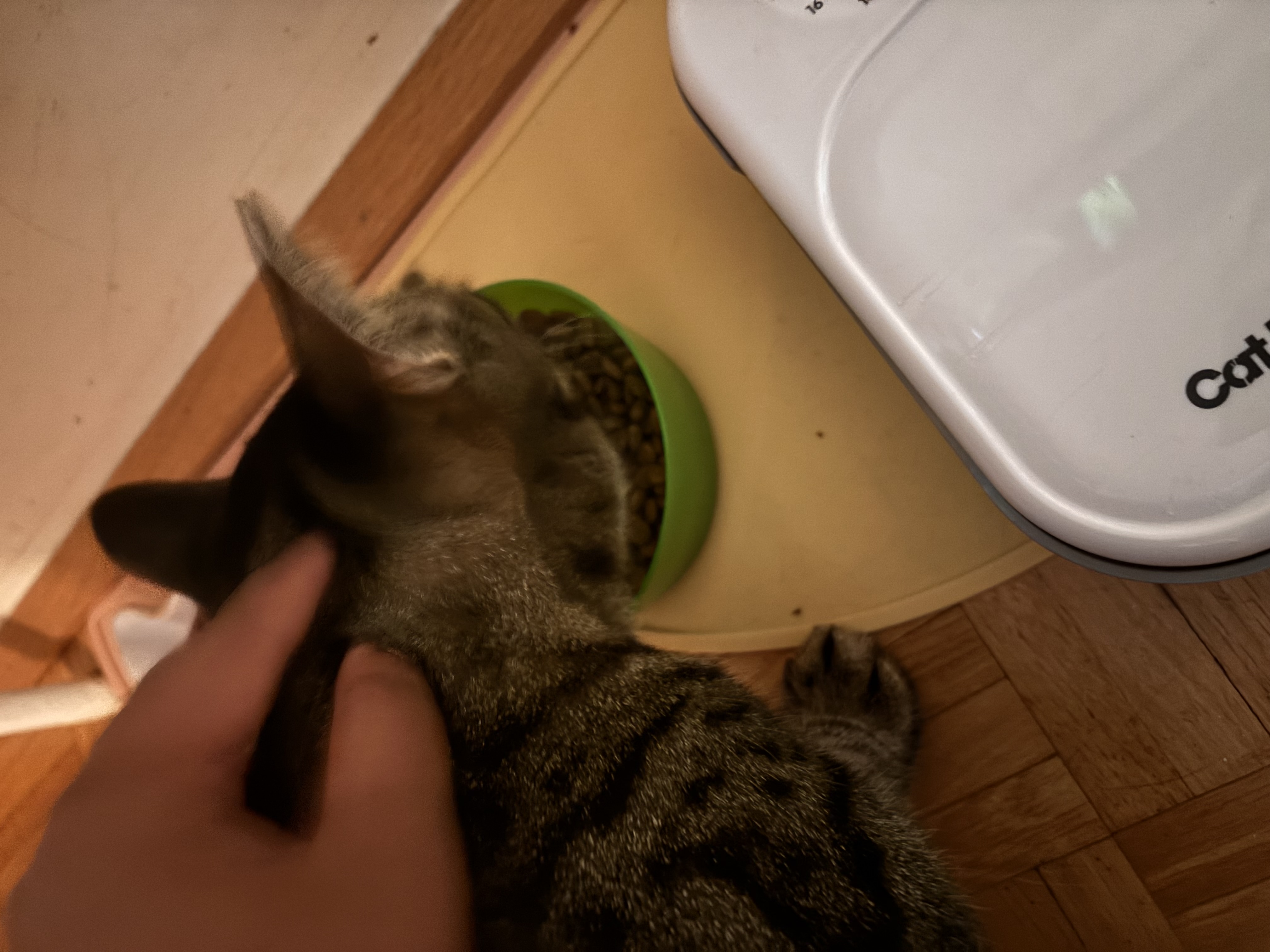 image-8