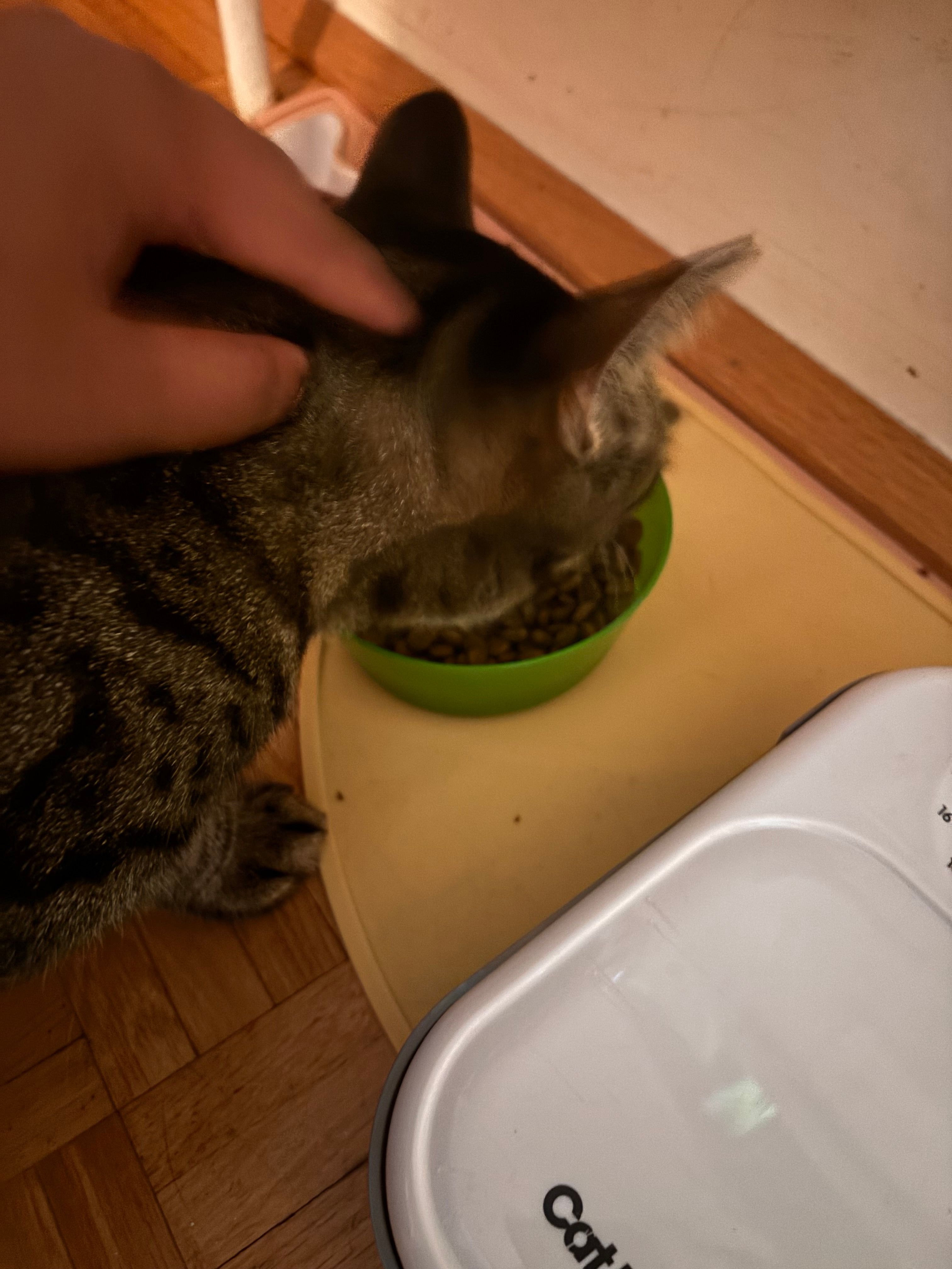 image-8