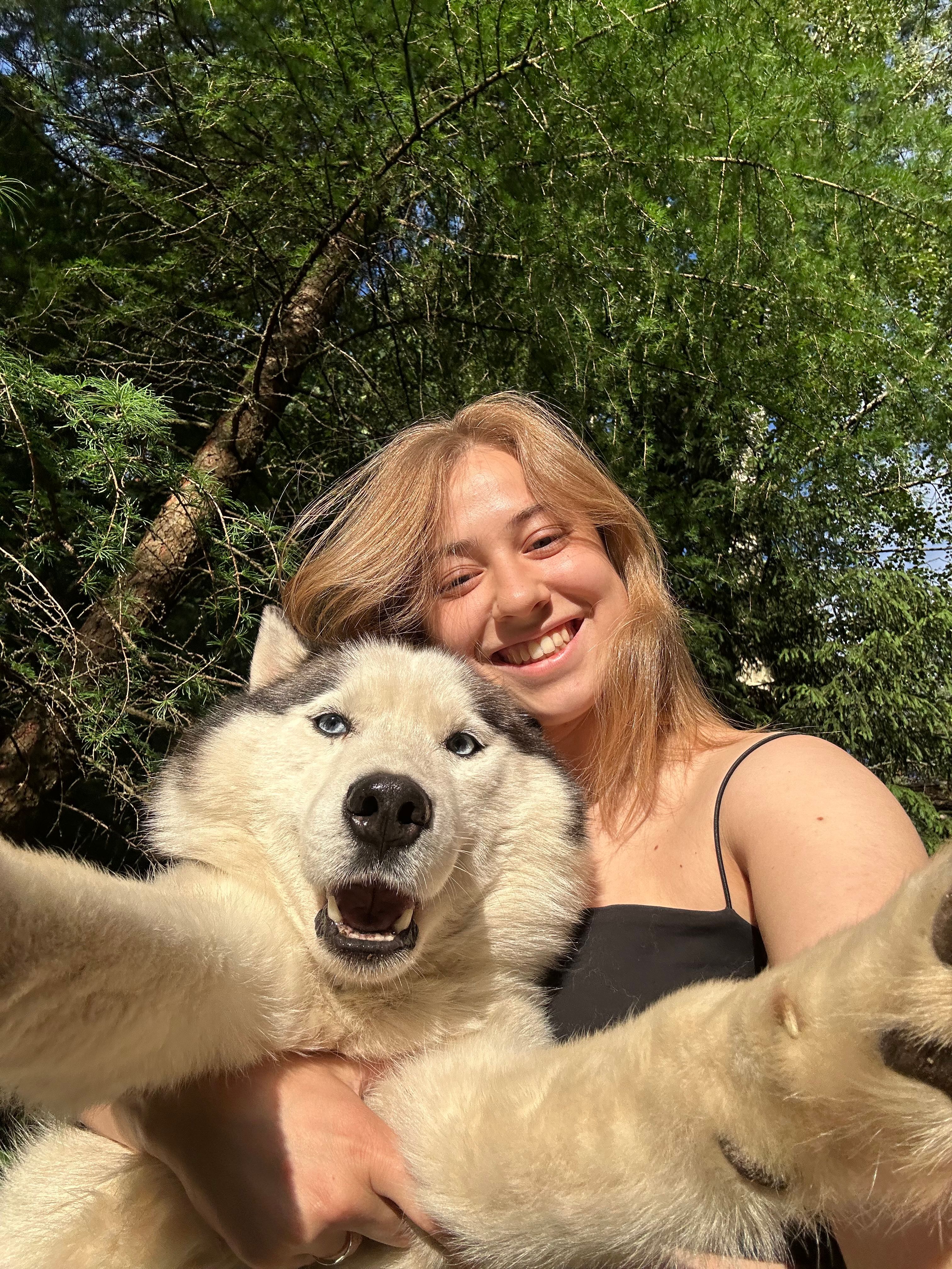 image-6