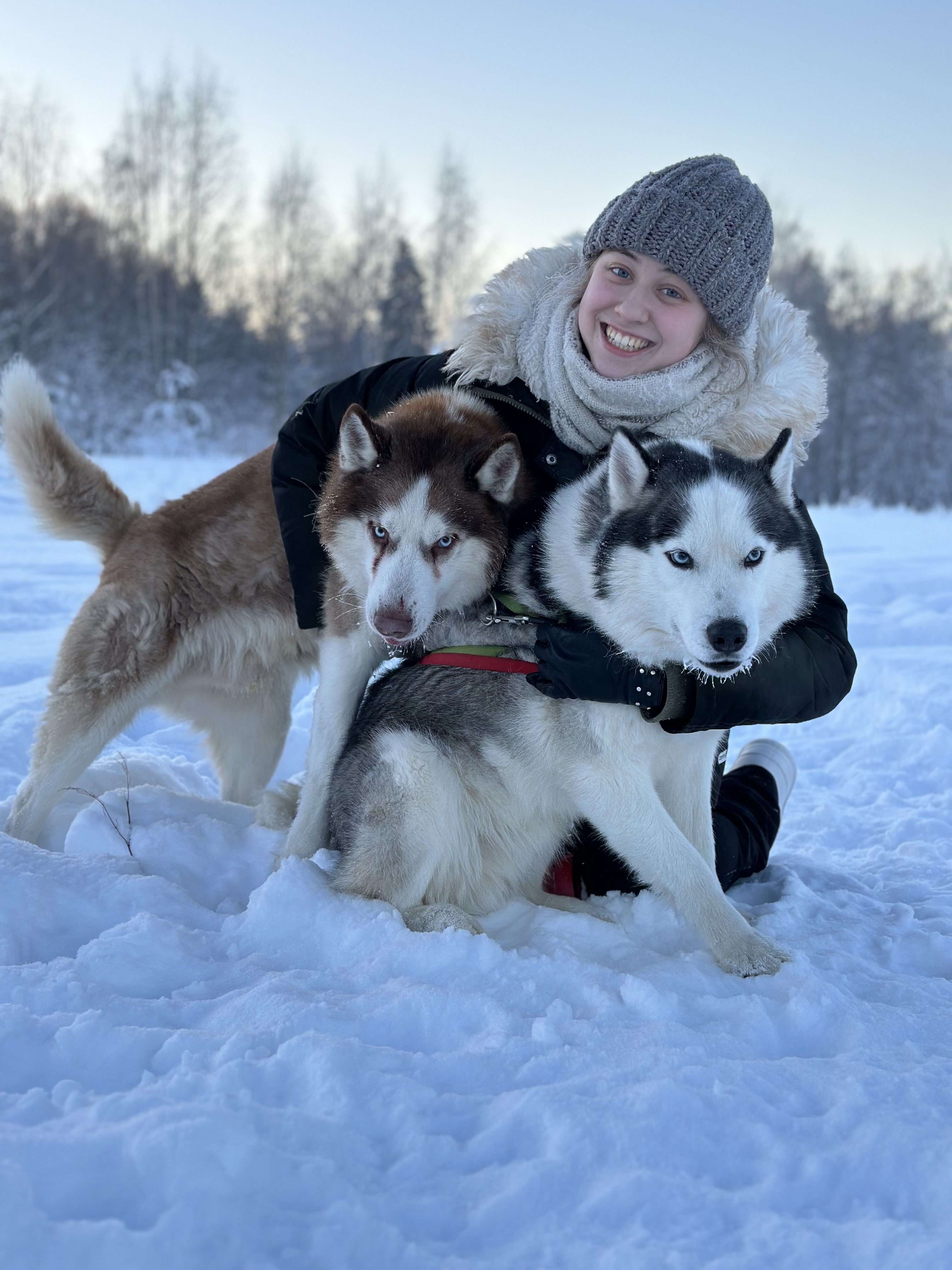 image-5