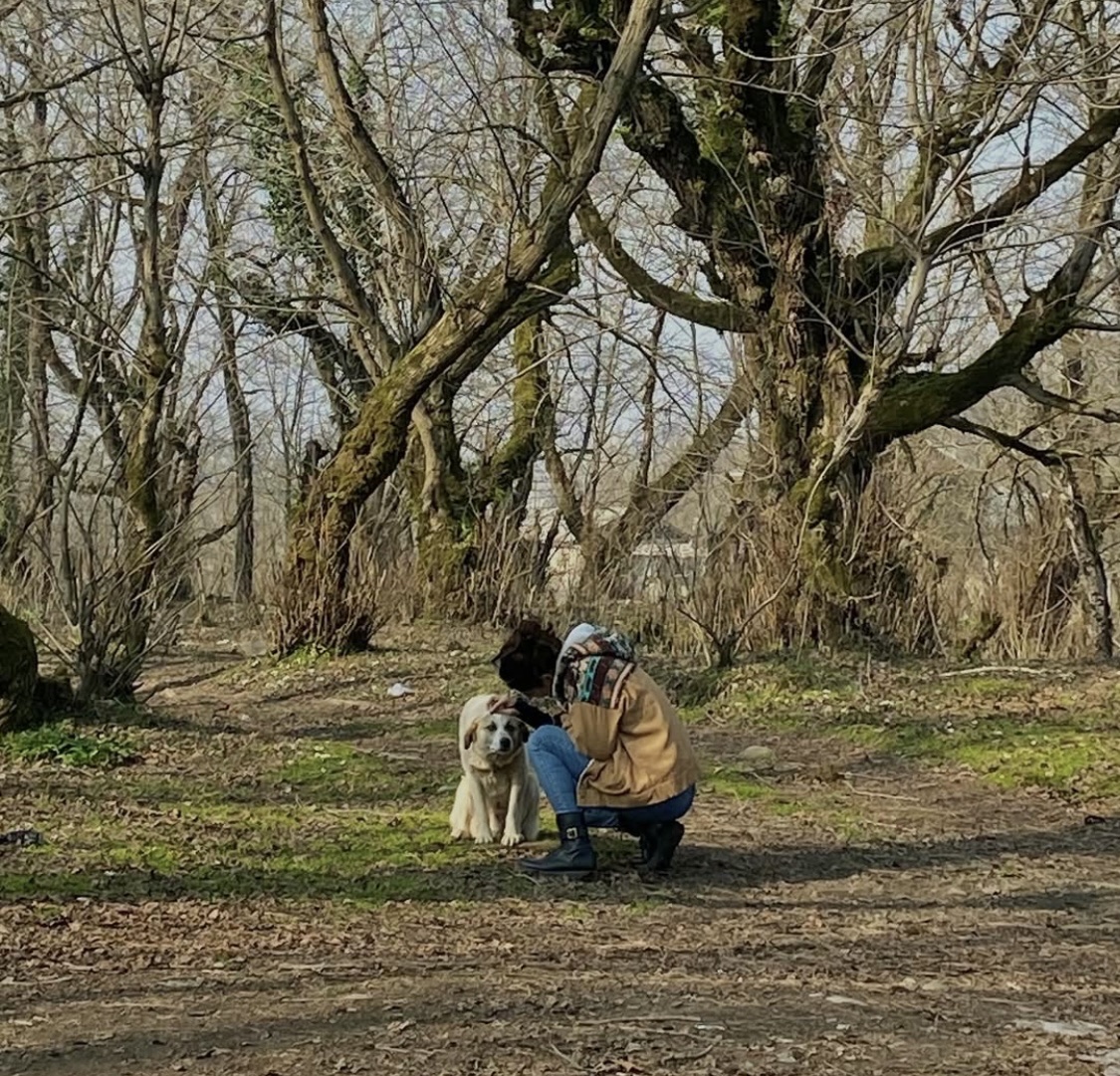 image-9