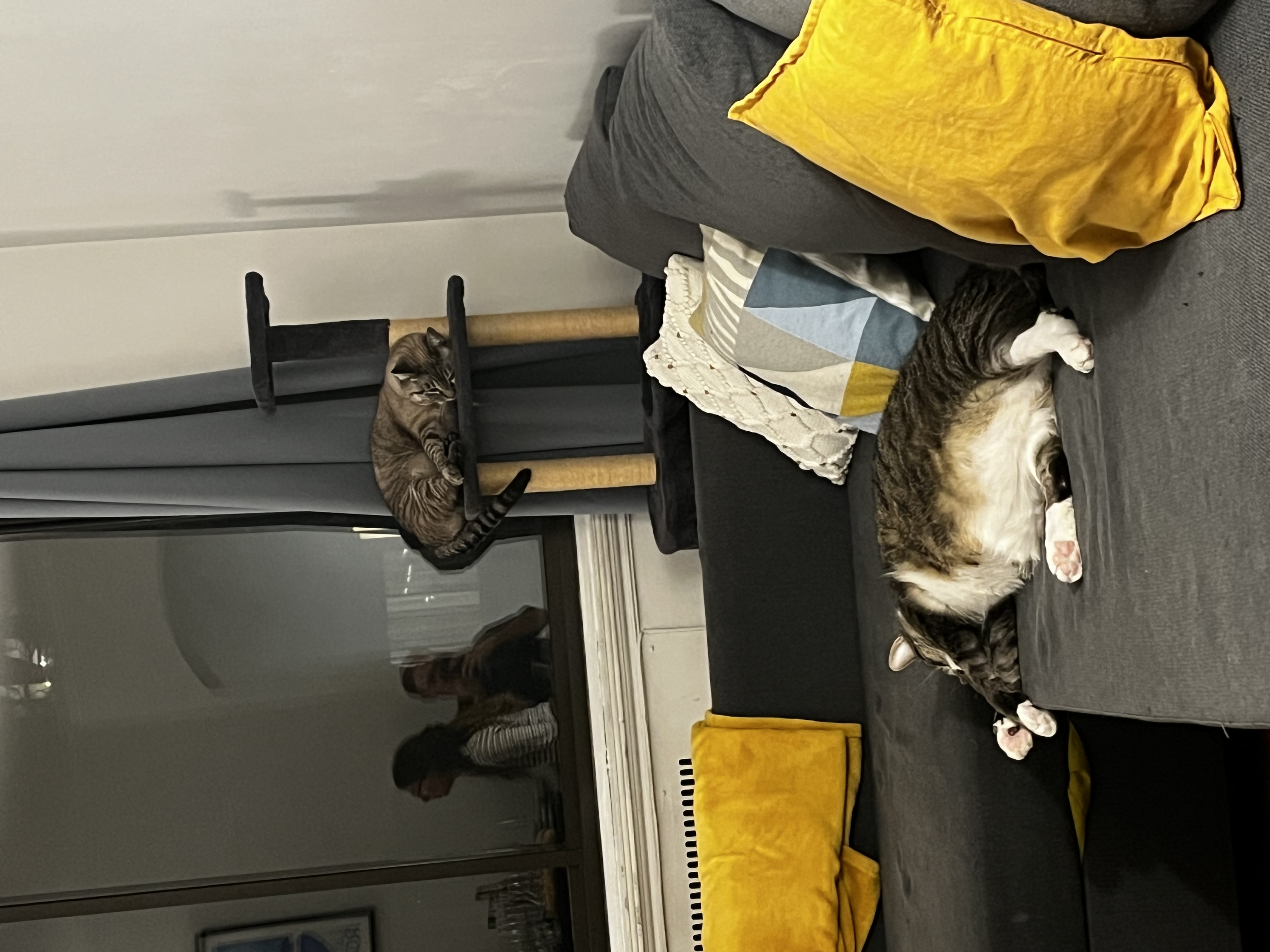 image-9
