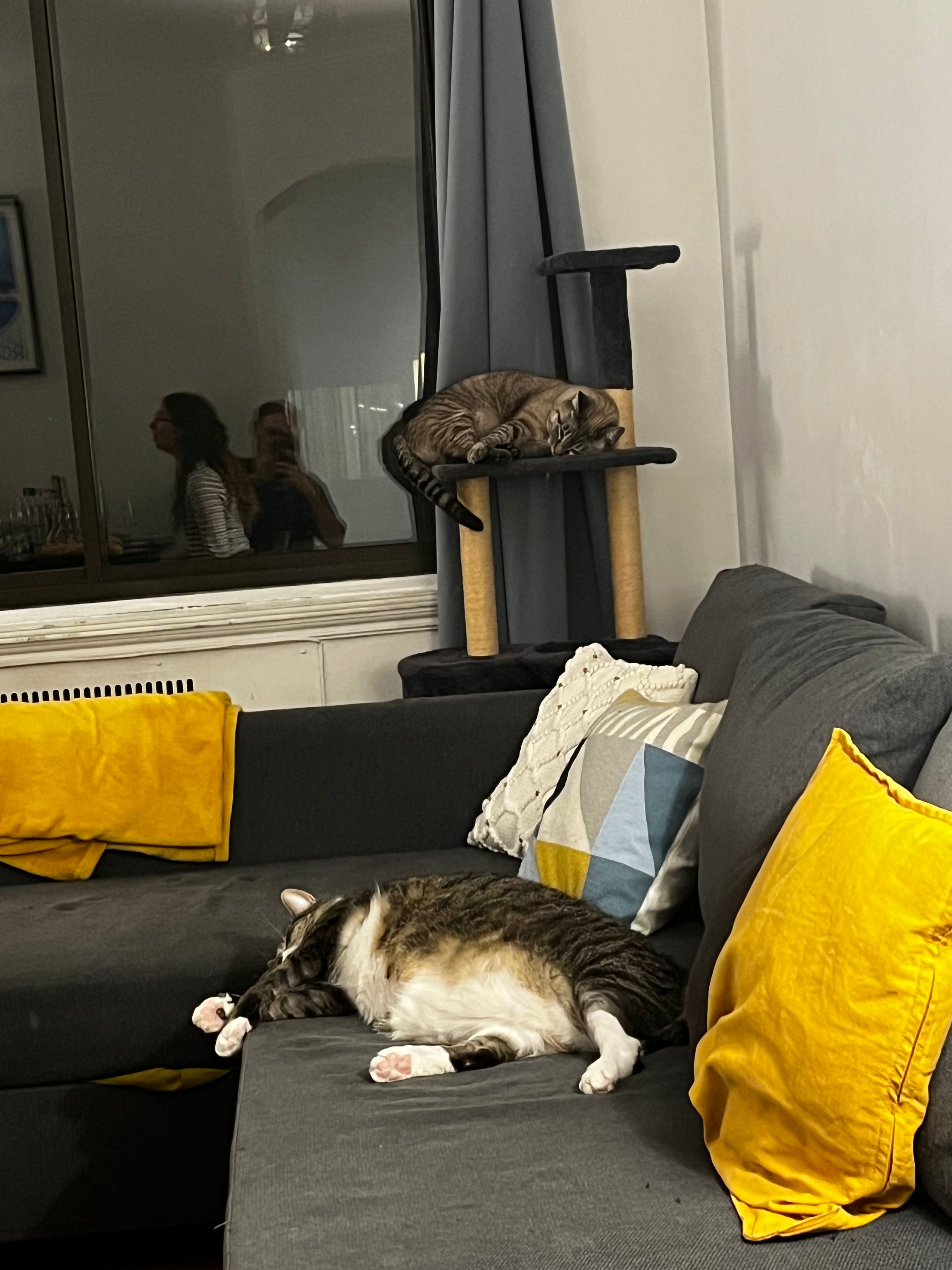 image-9