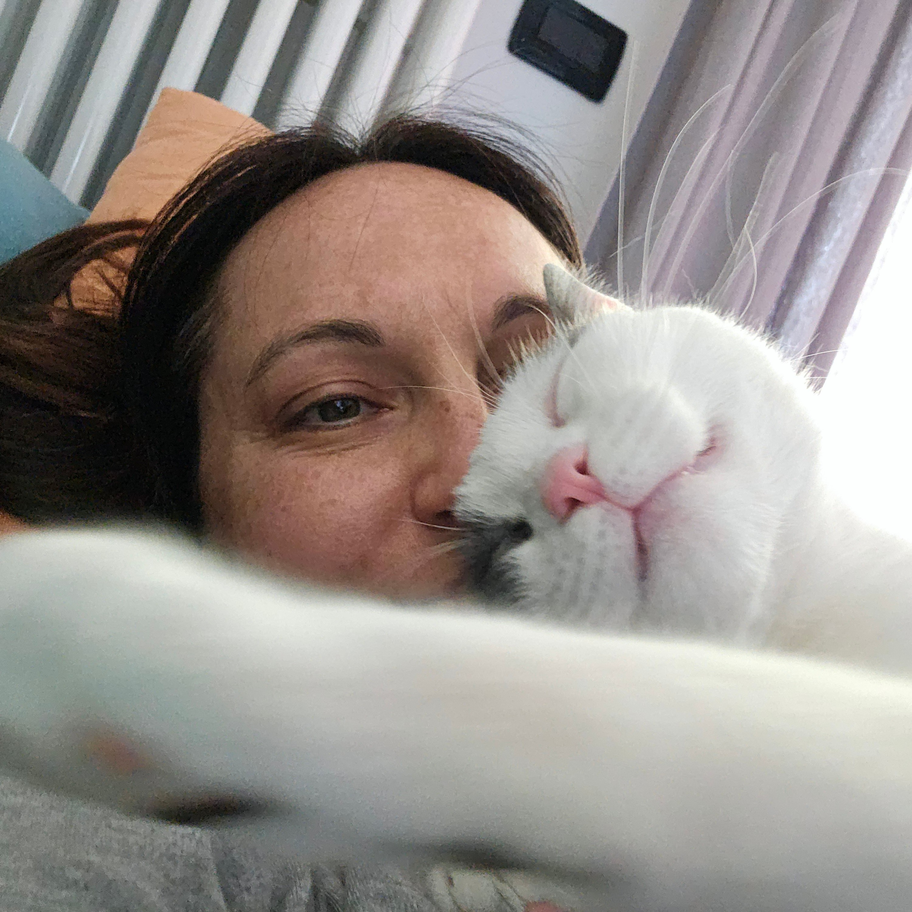 Elisa