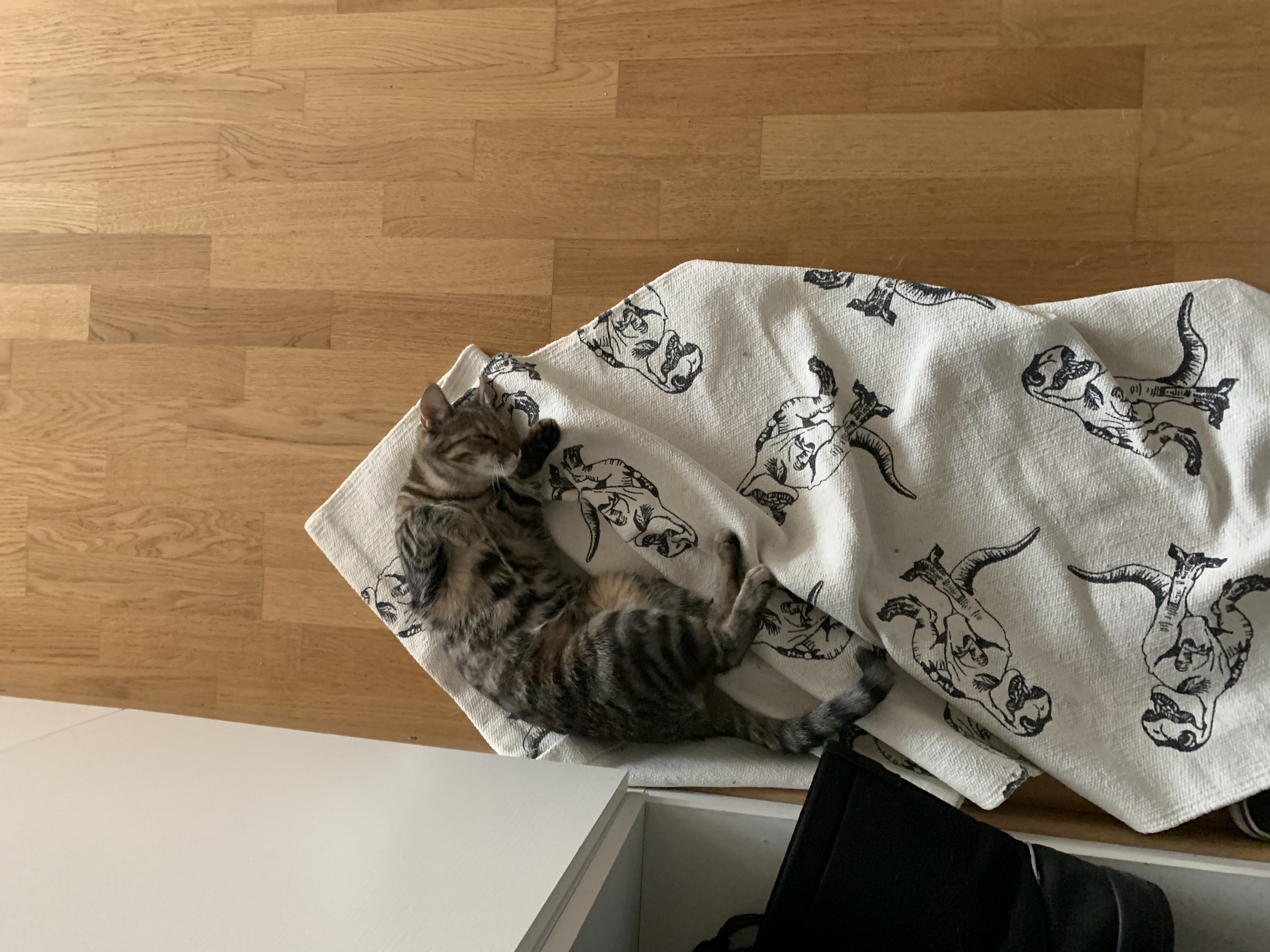 image-8