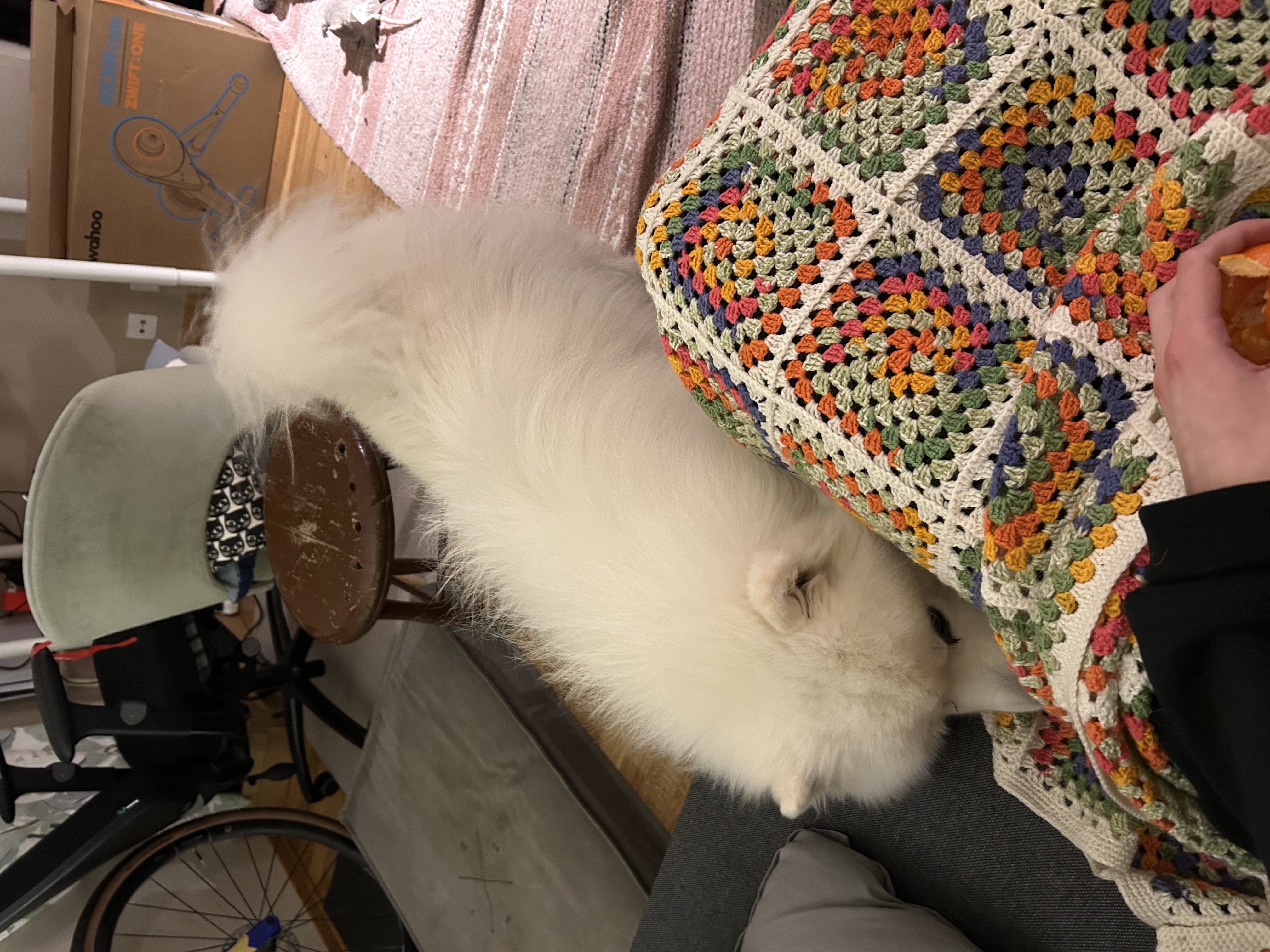 image-7