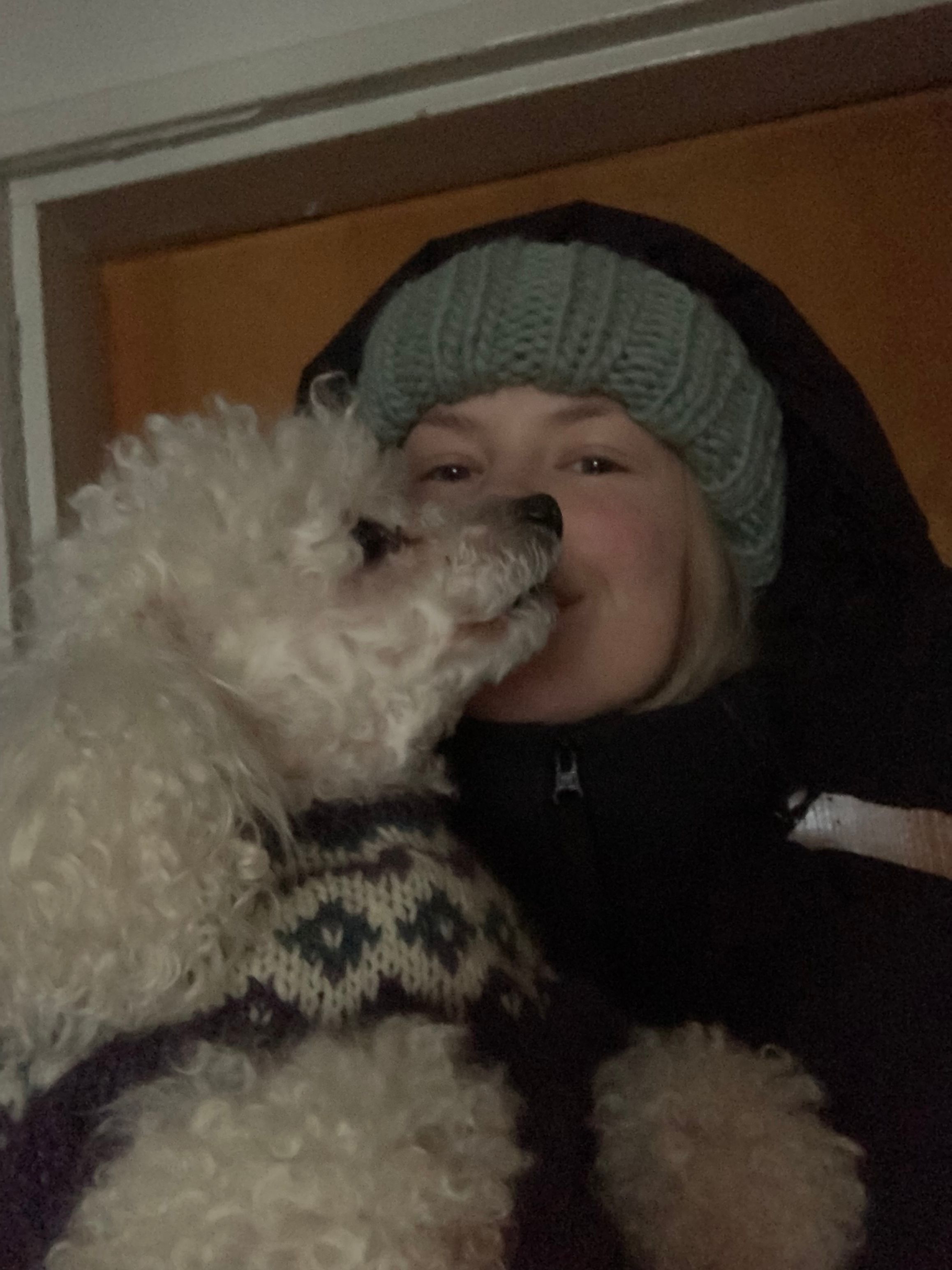 image-6