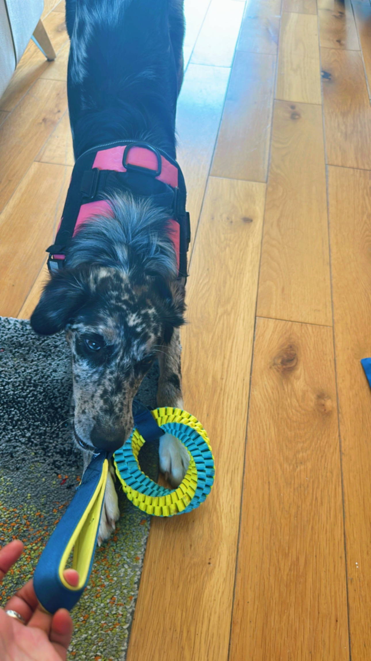 image-142