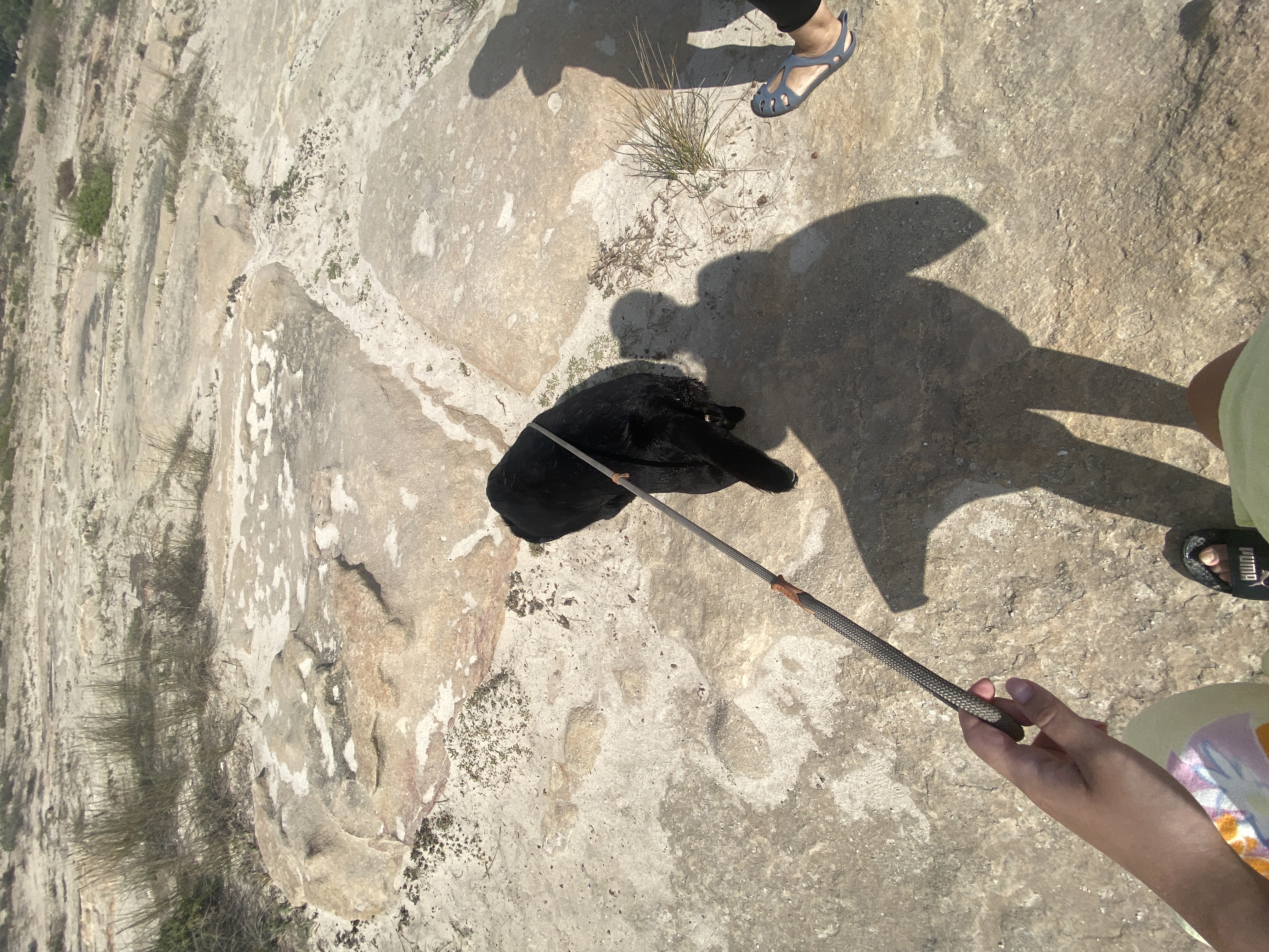 image-9