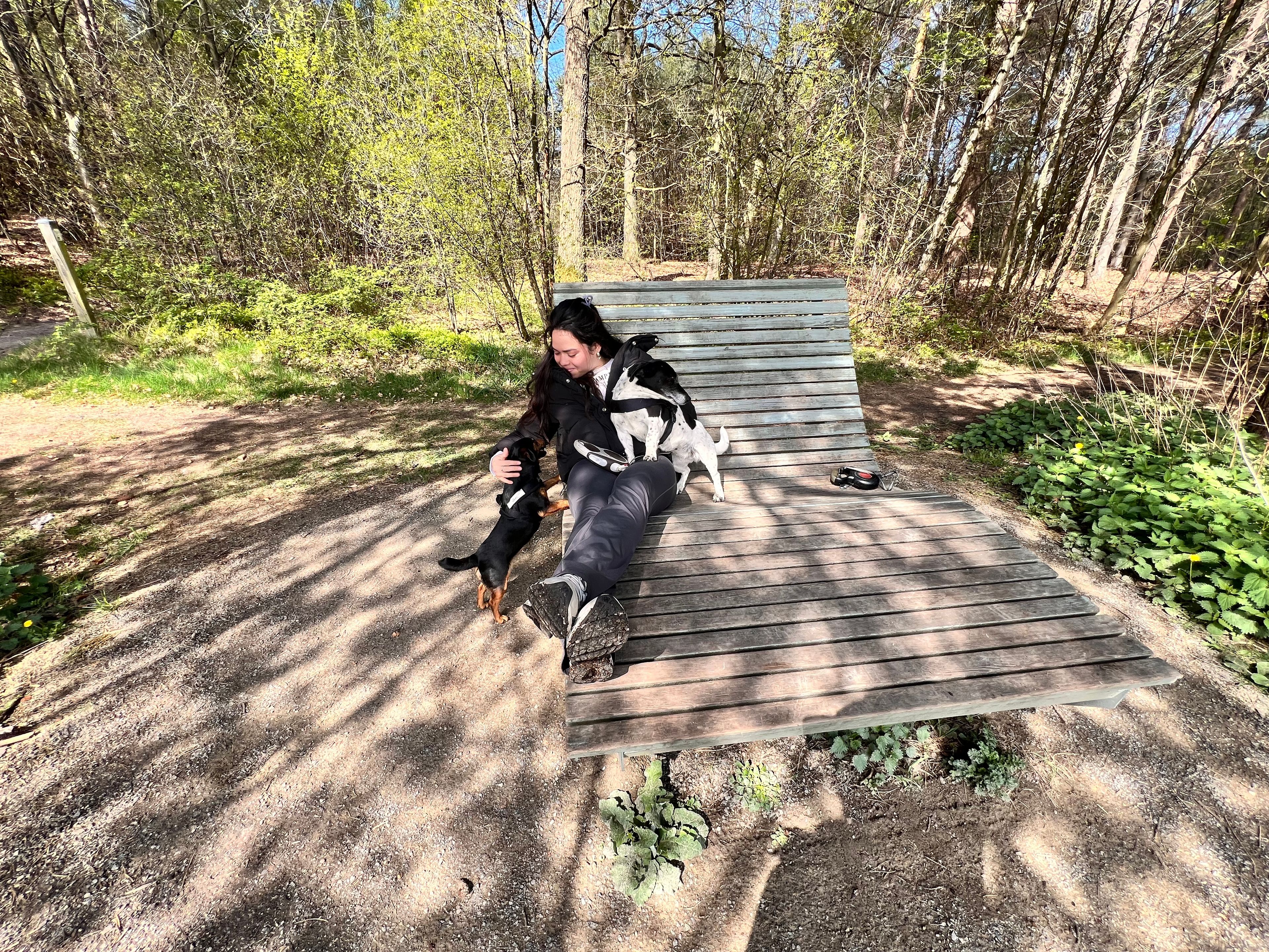 image-4