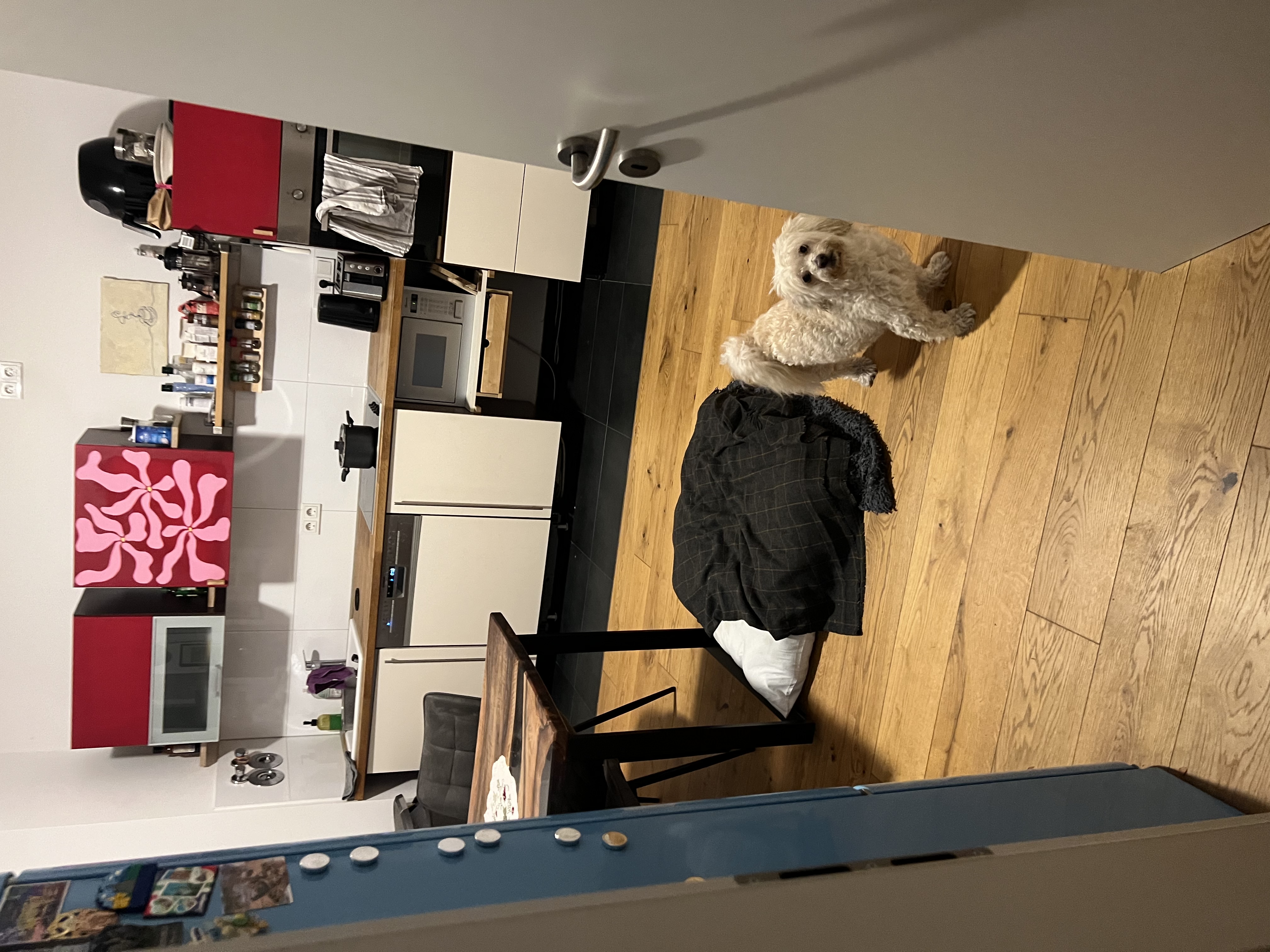 image-10