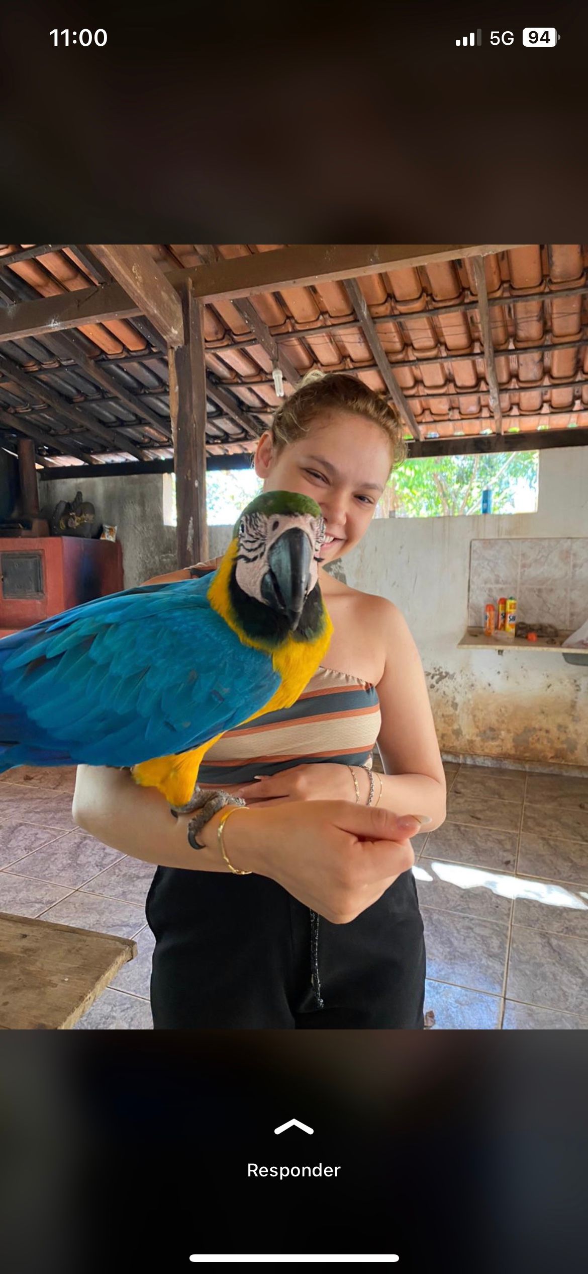image-11