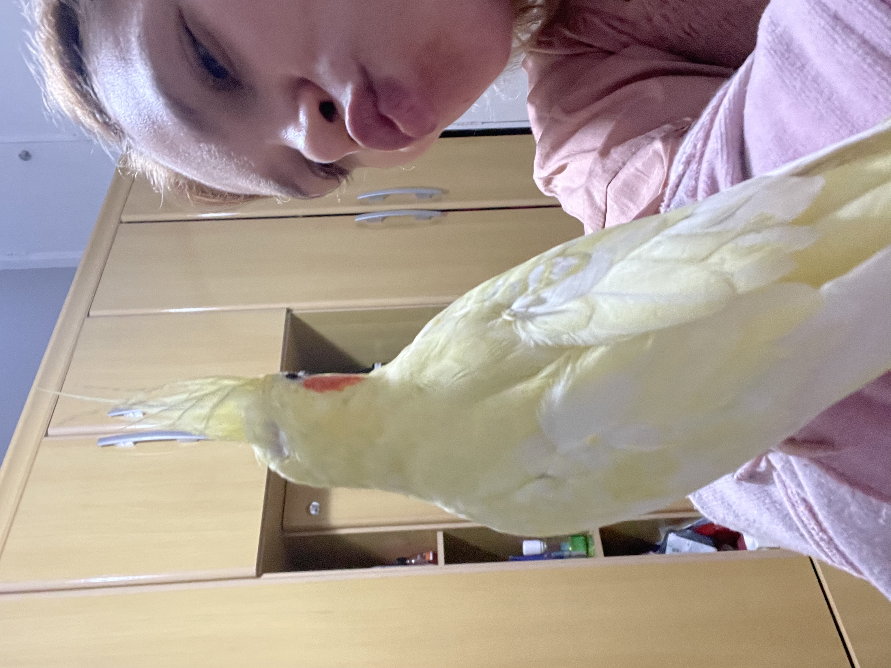 image-8
