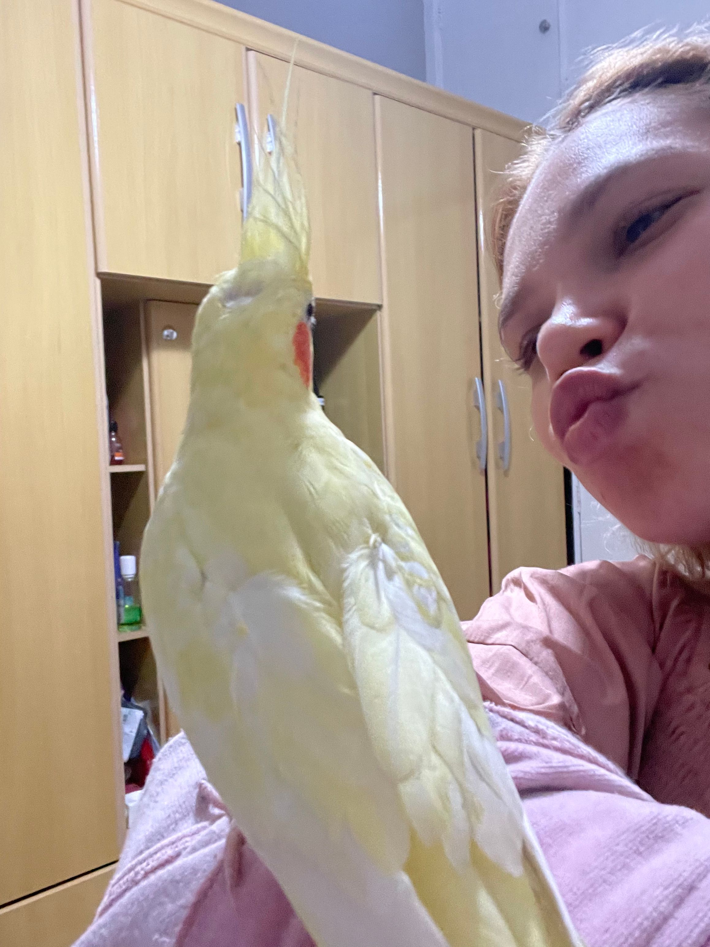 image-8