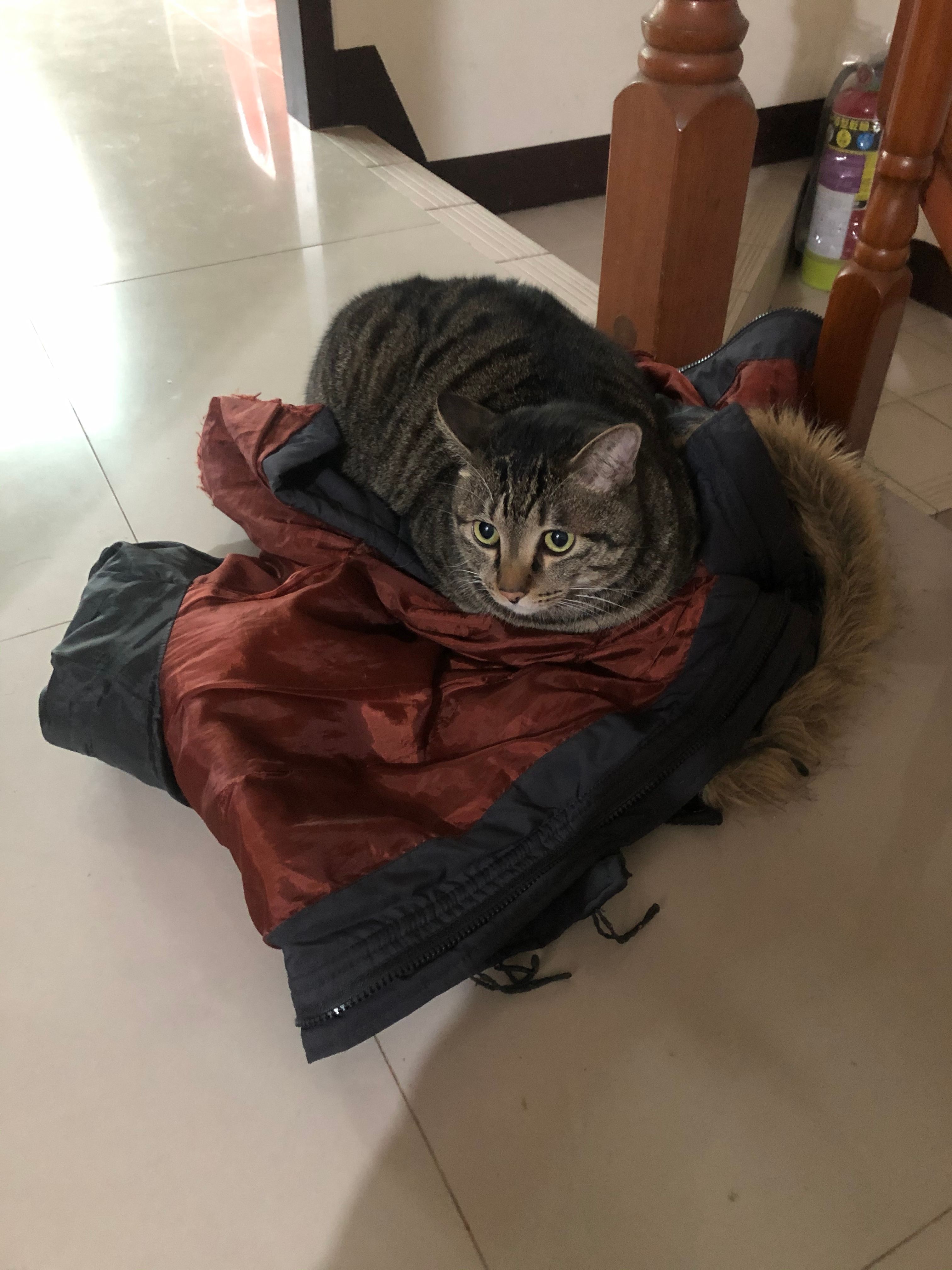 image-12