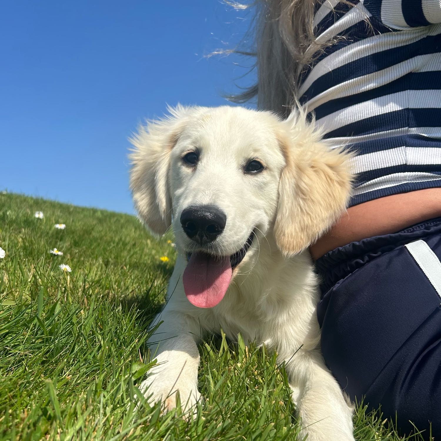 Charlie
