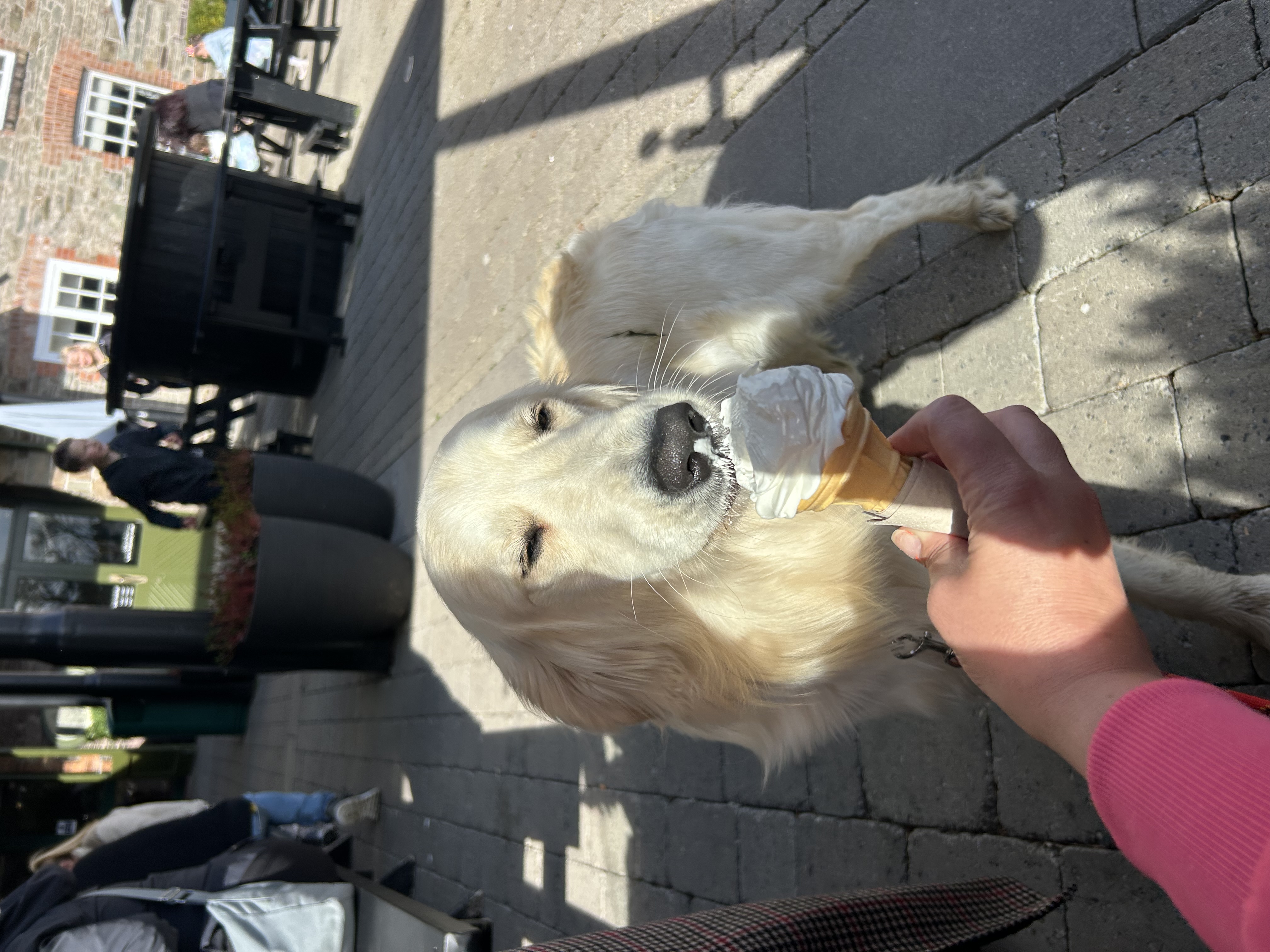 image-16