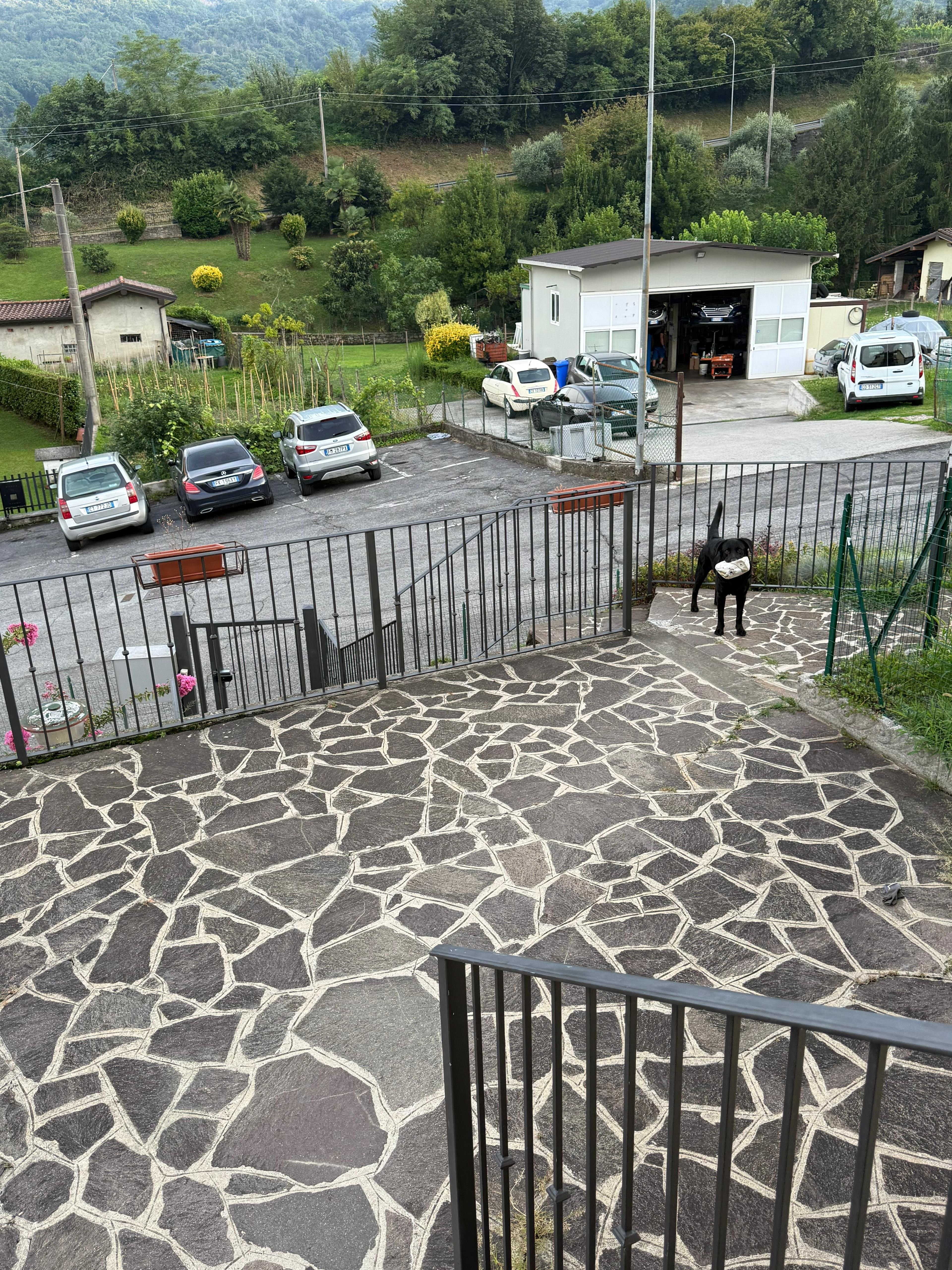 image-20