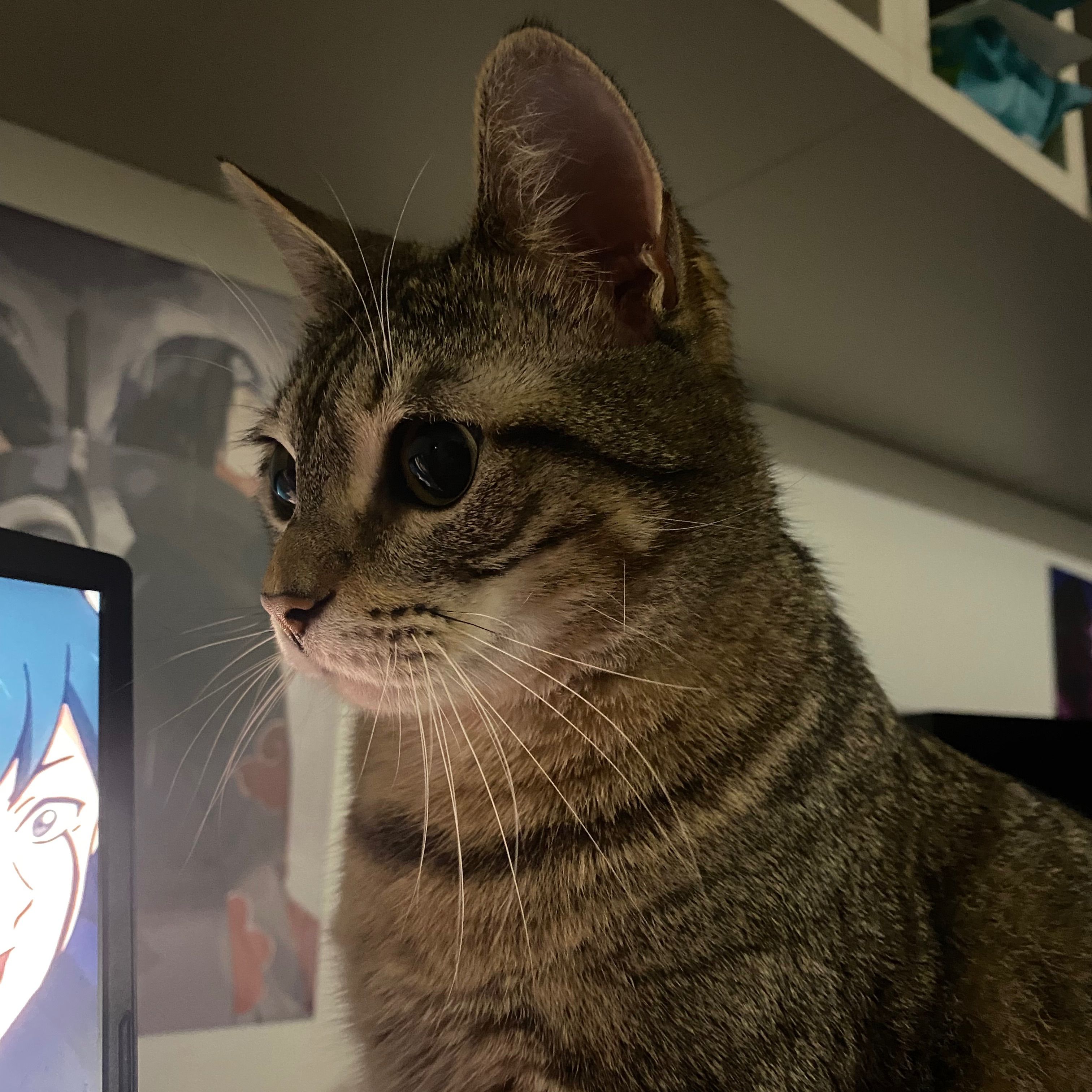 Kira