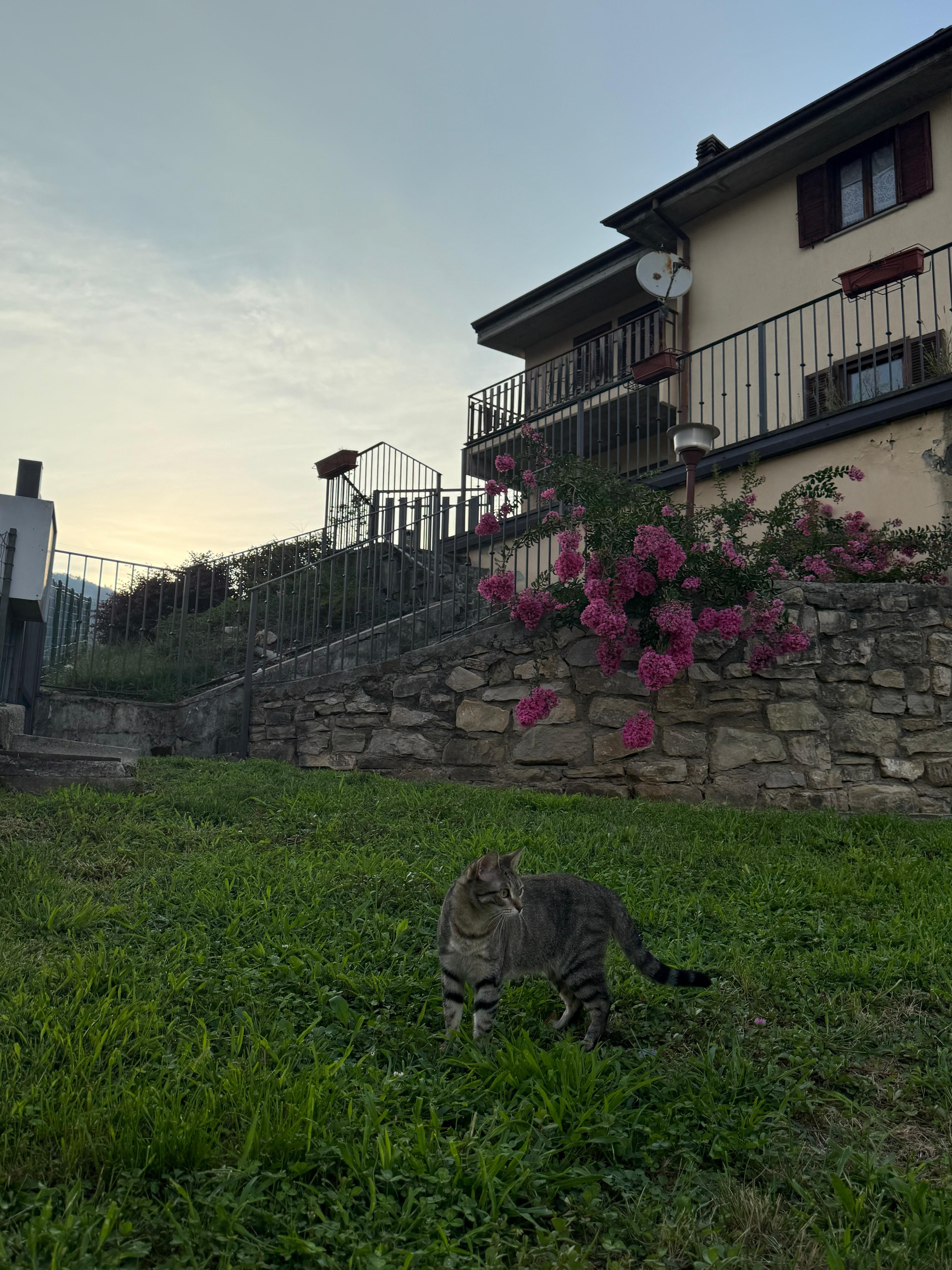 image-18