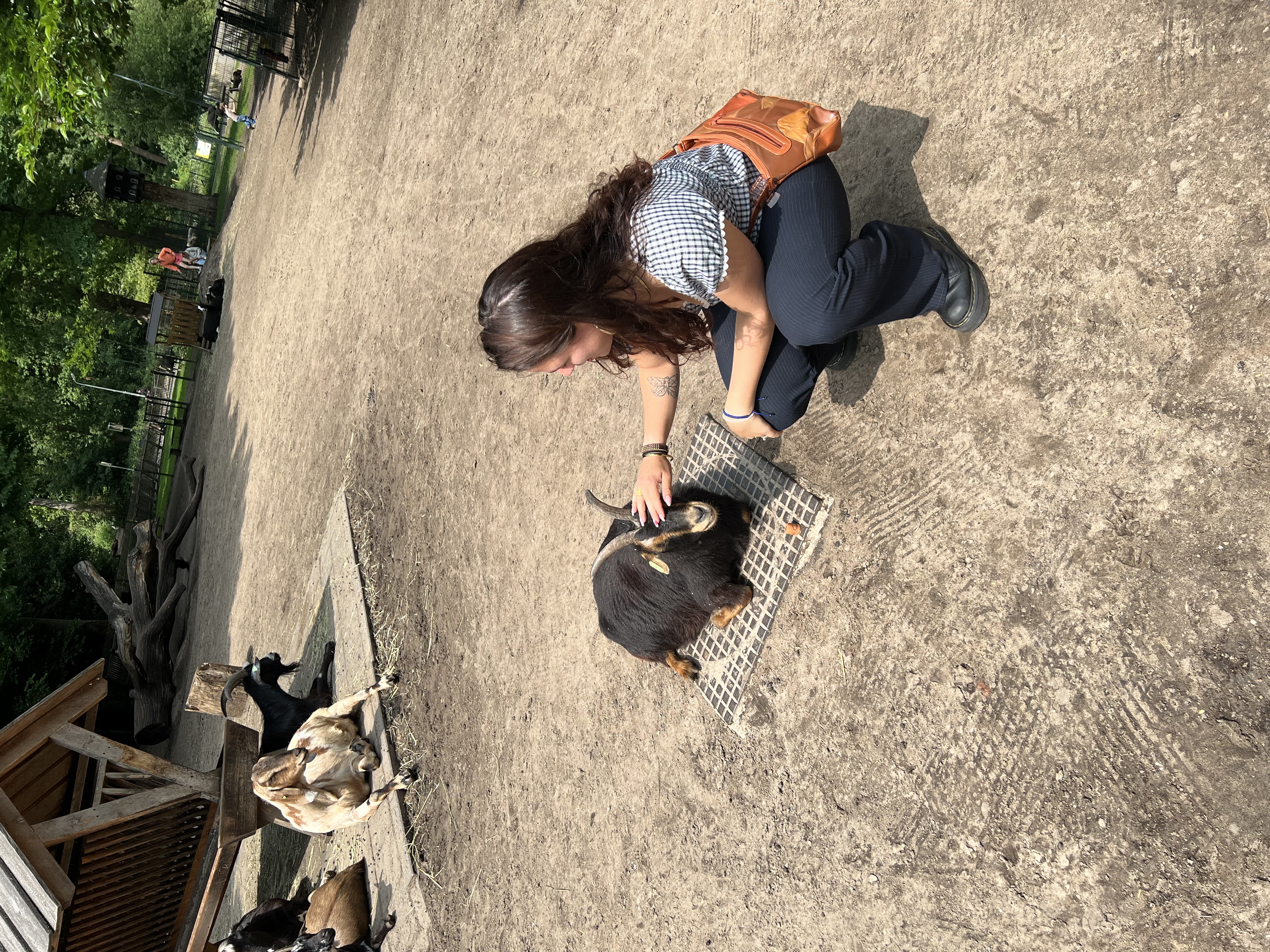 image-3