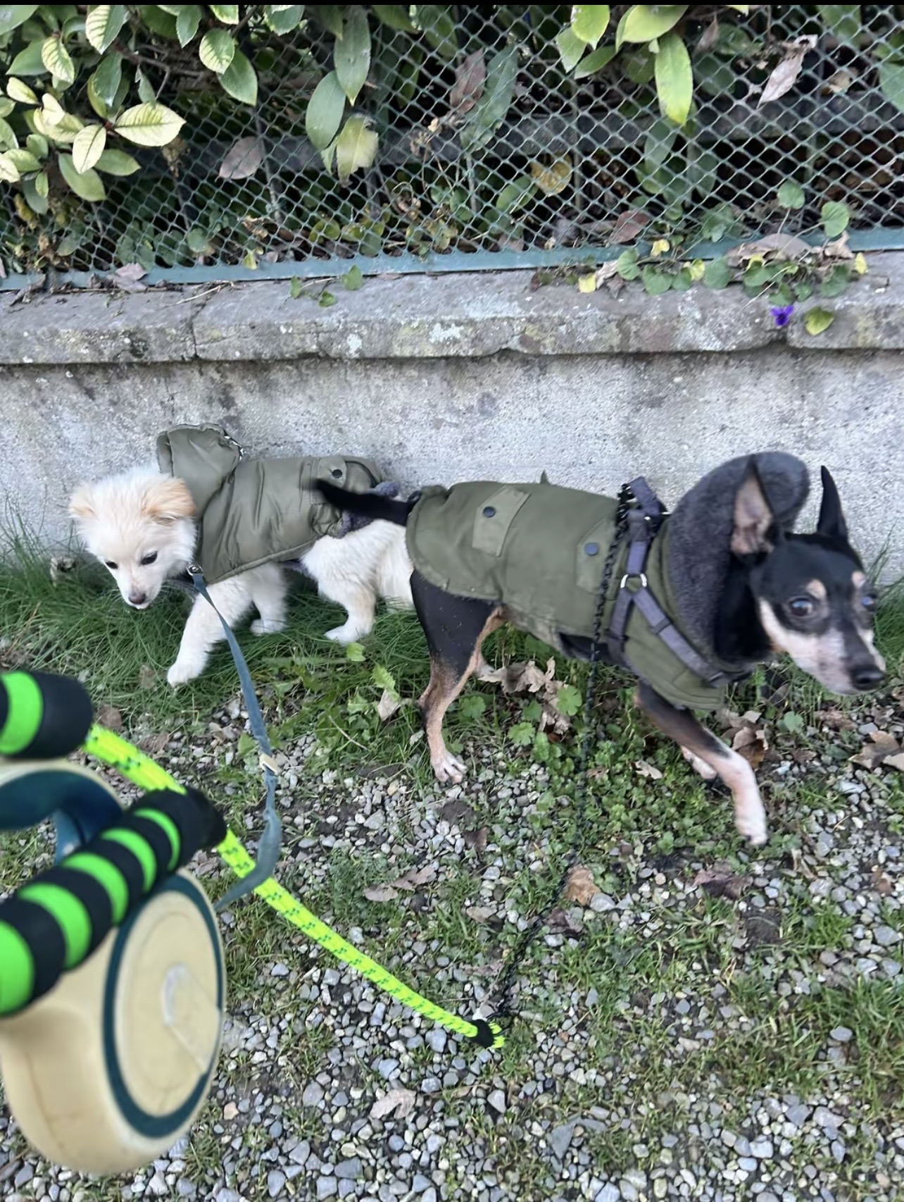 image-11