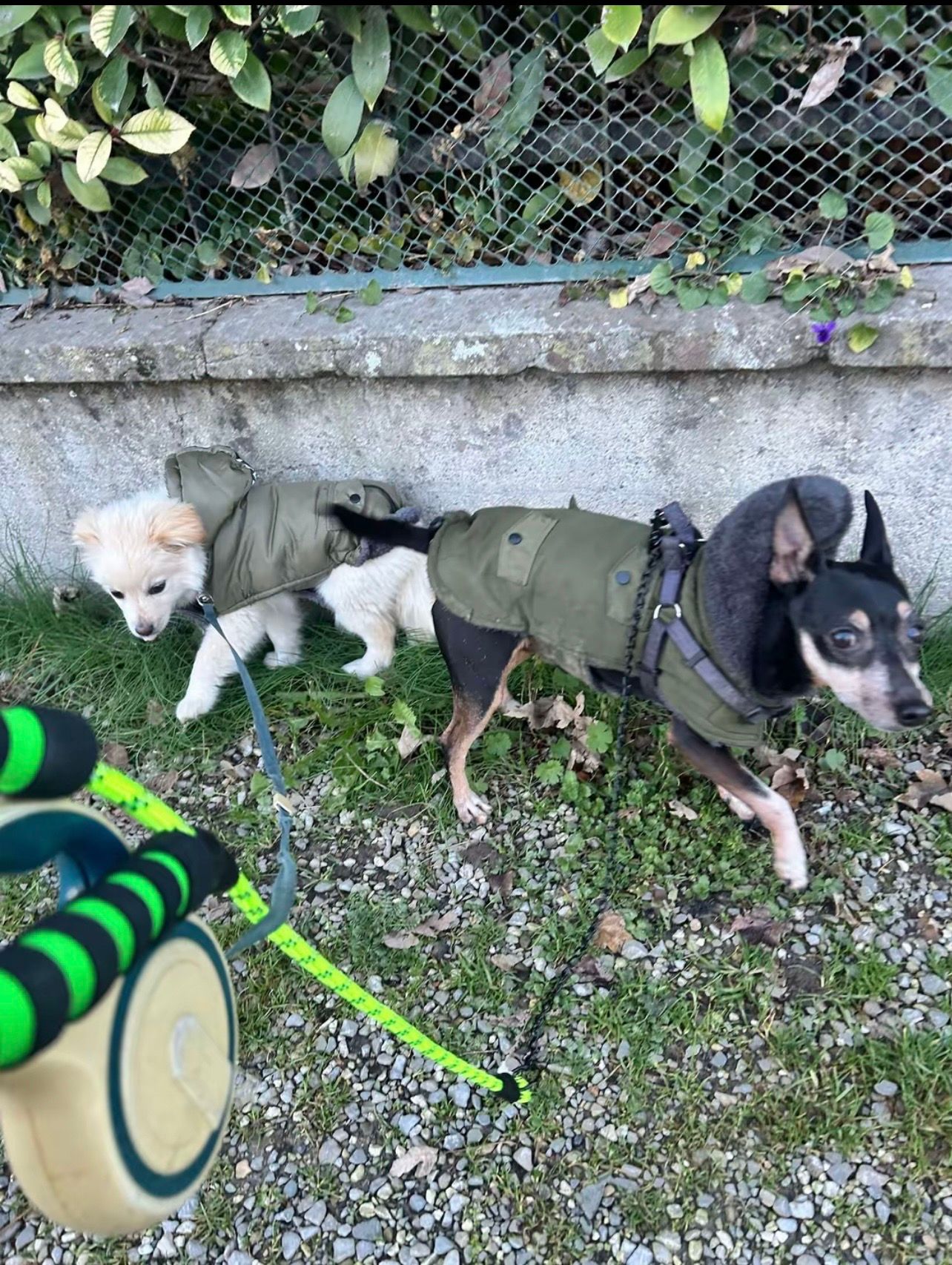 image-11