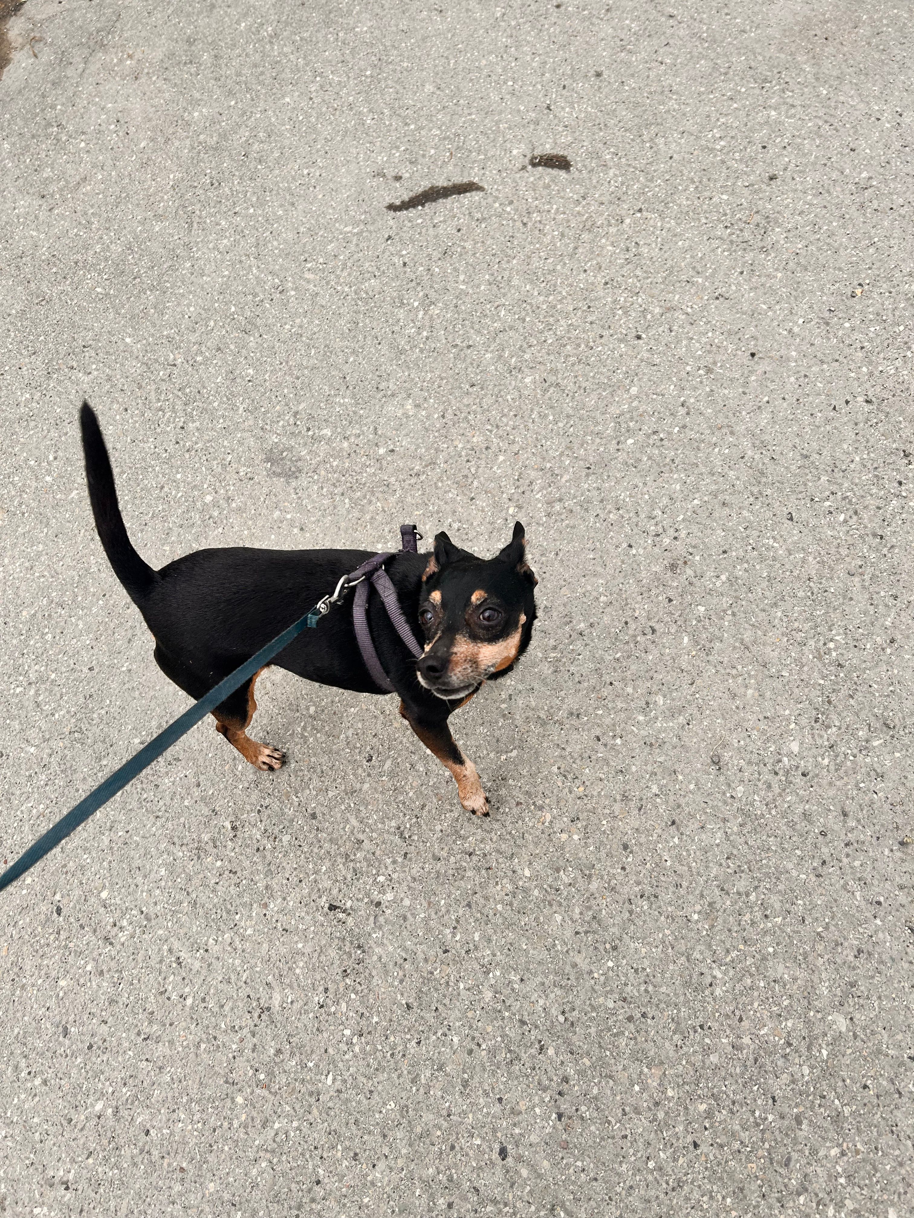 image-15