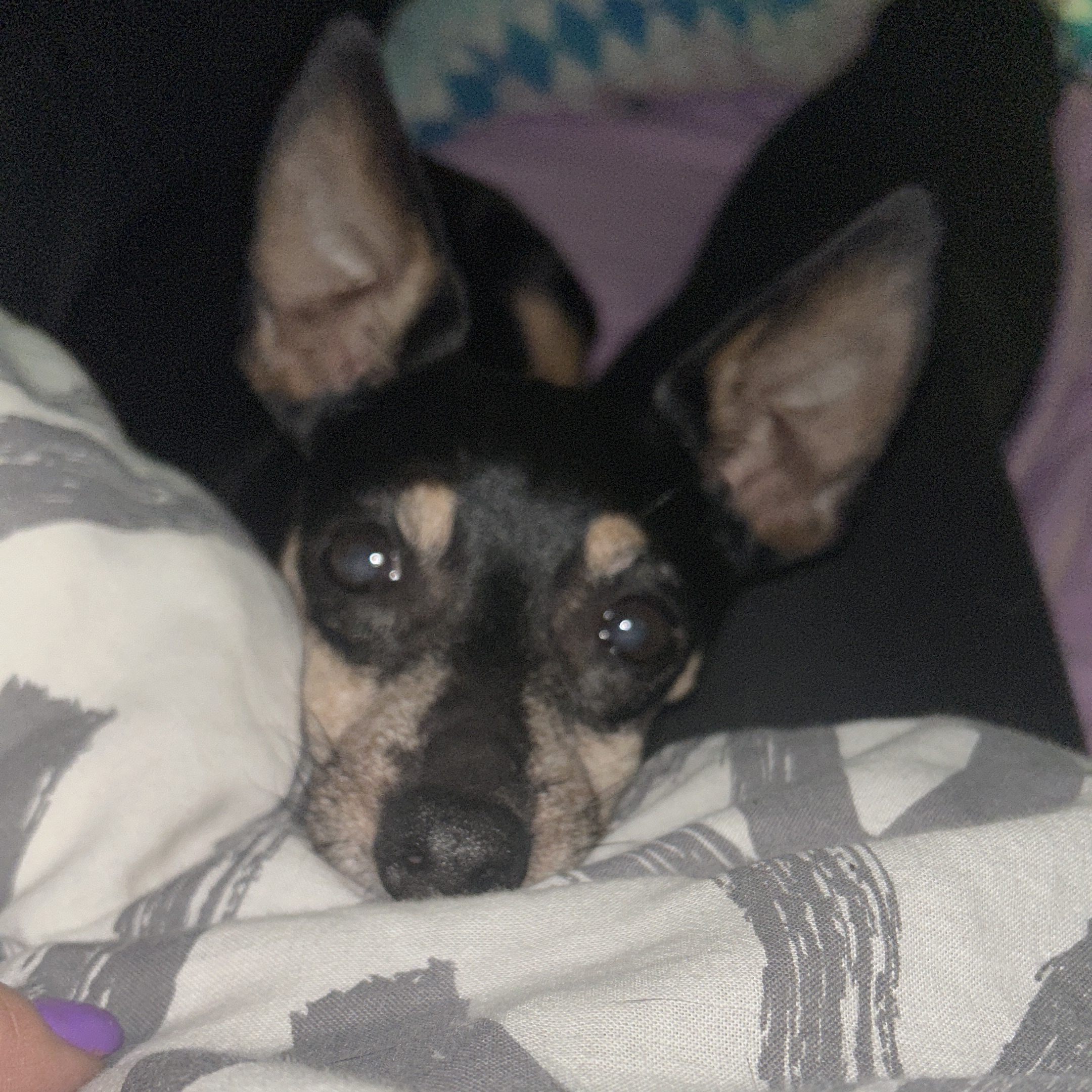Ettore