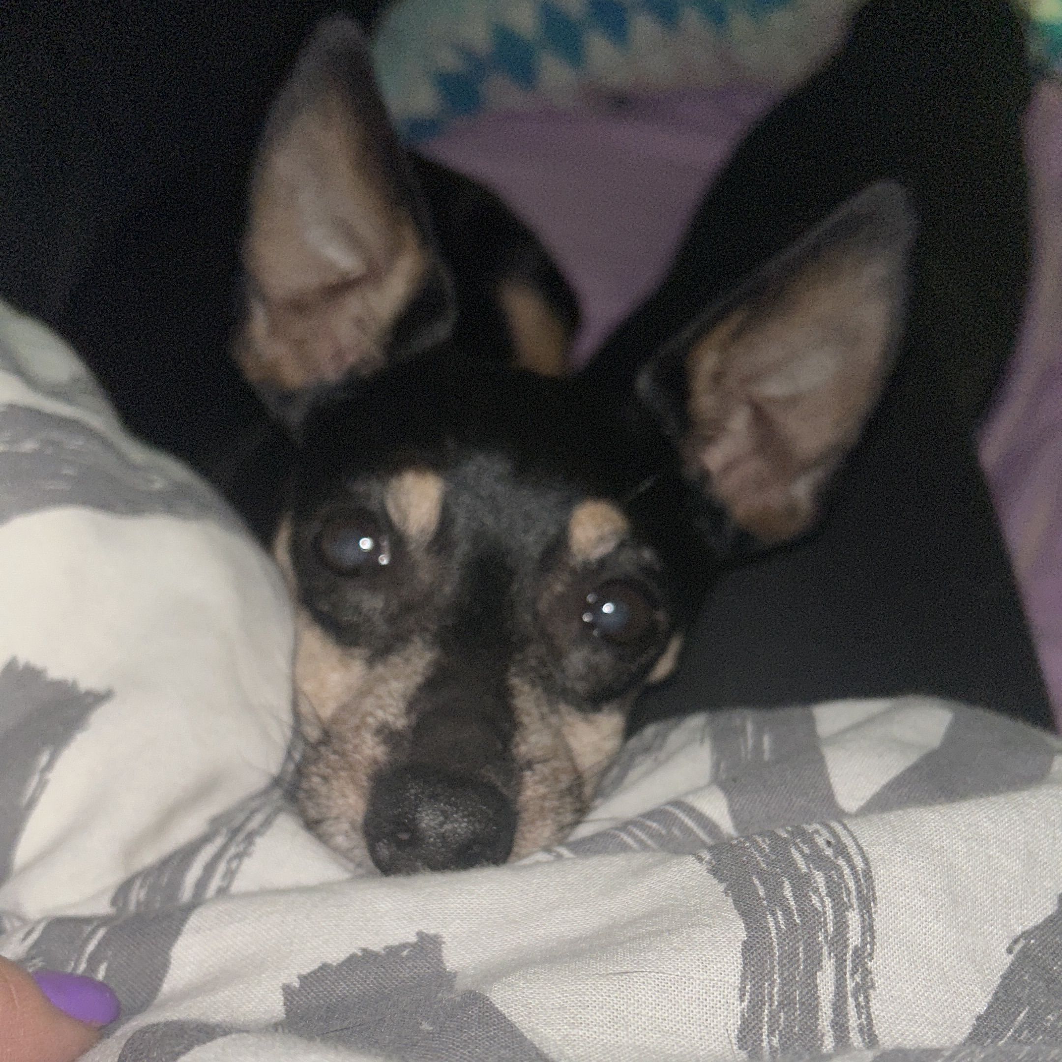 Ettore