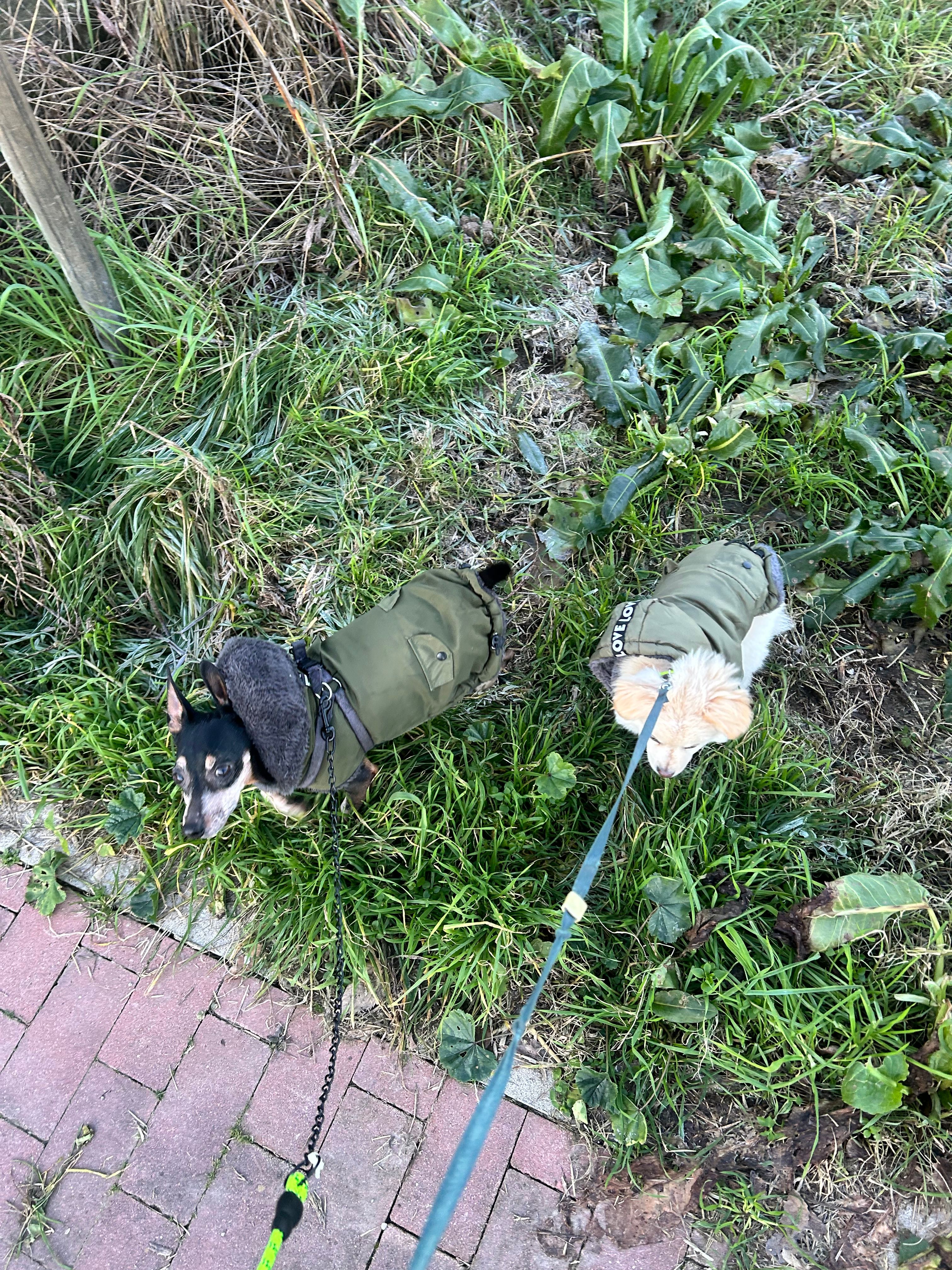 image-14
